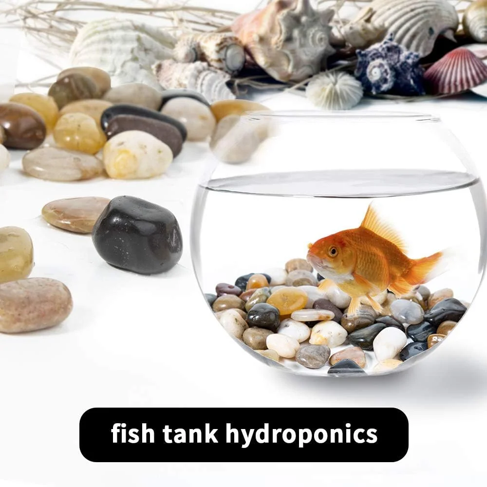 سنگریزه آکواریوم ROYAL SAPPHIRE - سنگریزه تزئینی صیقلی طبیعی، سنگریزه های تزئینی کوچک، سنگ های رنگی مخلوط، برای آکواریوم، محوطه سازی، پرکننده گلدان 2 پوند سنگریزه آکواریوم ROYAL SAPPHIRE - سنگریزه تزئینی صیقلی طبیعی، سنگریزه های تزئینی کوچک، سنگ های رنگی مخلوط، برای آکواریوم، محوطه سازی، پرکننده گلدان 2 پوند