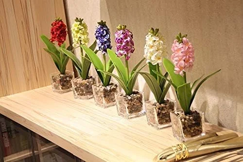 سنگریزه آکواریوم ROYAL SAPPHIRE - سنگریزه تزئینی صیقلی طبیعی، سنگریزه های تزئینی کوچک، سنگ های رنگی مخلوط، برای آکواریوم، محوطه سازی، پرکننده گلدان 2 پوند سنگریزه آکواریوم ROYAL SAPPHIRE - سنگریزه تزئینی صیقلی طبیعی، سنگریزه های تزئینی کوچک، سنگ های رنگی مخلوط، برای آکواریوم، محوطه سازی، پرکننده گلدان 2 پوند