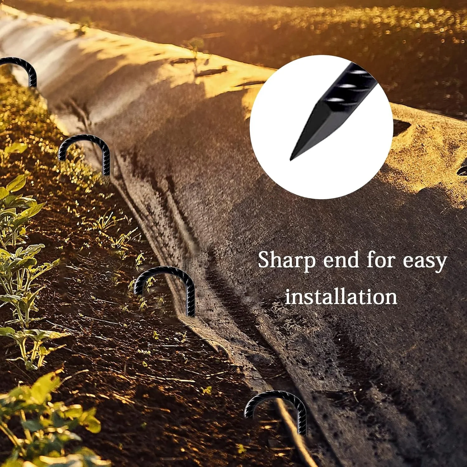 ۶ عدد میخ چادر زمینی میلگردی ۳۰ سانتی متری با روکش گالوانیزه، میخ های چادر، لنگر زمینی، میخ های زمینی، میخ چادر، لنگر ساختمانی، U شکل برای حصار، چادر، سایبان، تاب، ترامپولین - مشکی