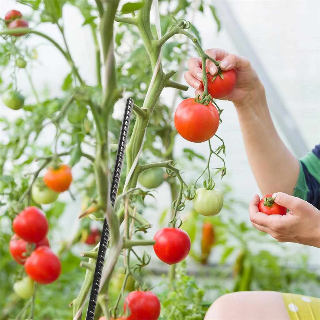 میخ های لنگر زمینی، میخ های میلگردی سنگین و مستقیم آهنگری شده 38 سانتی متری با نوک تیز، میخ های فولادی نگهدارنده گیاه، میخ های باغبانی برای چادر، باغبانی، بتن و چوب