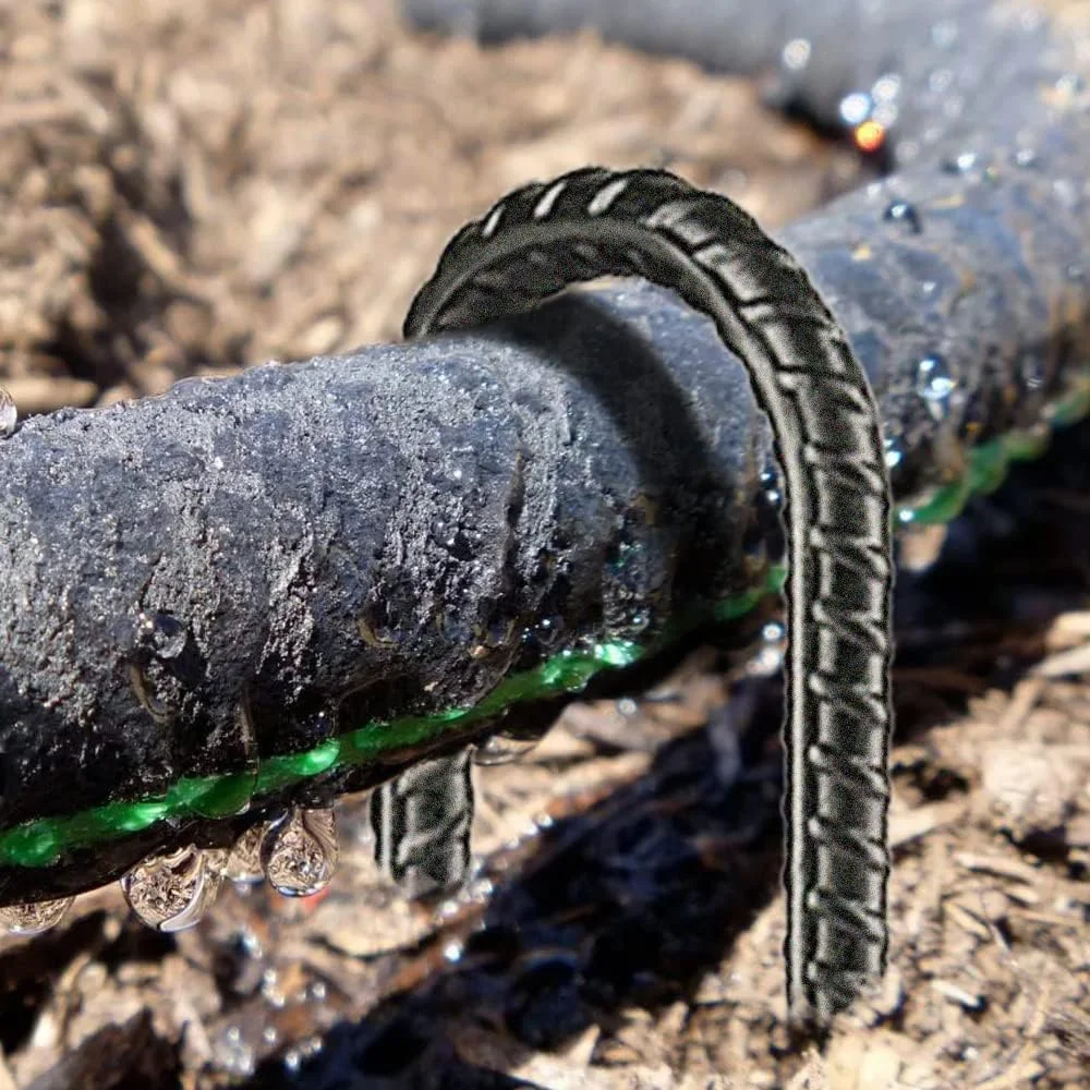 میخ های زمینی میلگرد NHZ سایز 16 اینچ (8 عددی)، بست های زمینی قلاب J سنگین، پایه نگهدارنده گیاه فولادی منحنی با نوک تیز، چکش خور برای خاک سخت مناسب چادر مسافرتی - با پوشش پودری مشکی میخ های زمینی میلگرد NHZ سایز 16 اینچ (8 عددی)، بست های زمینی قلاب J سنگین، پایه نگهدارنده گیاه فولادی منحنی با نوک تیز، چکش خور برای خاک سخت مناسب چادر مسافرتی - با پوشش پودری مشکی