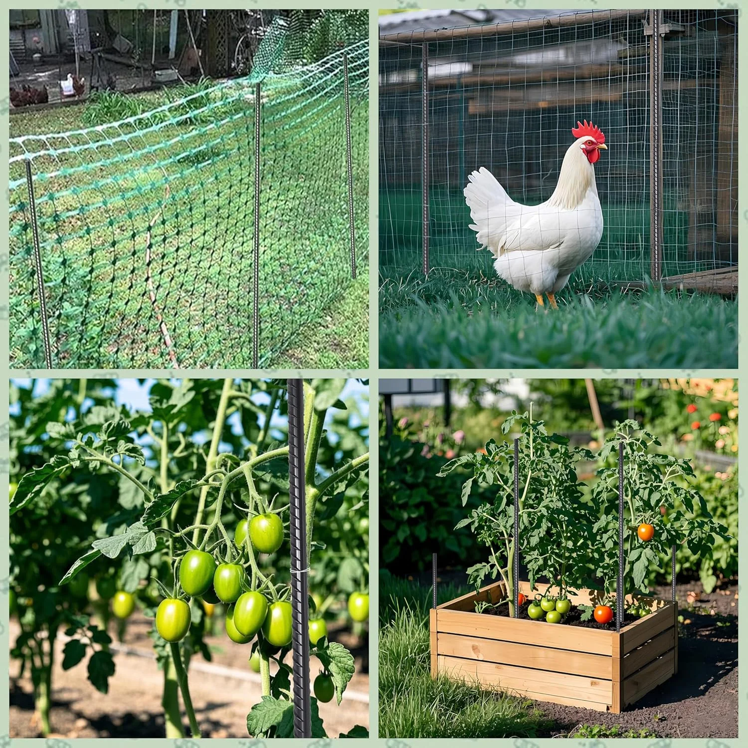 میخ های فولادی - 60 سانتی متر، میخ های مستقیم فولادی سنگین (16 عدد)، لنگرهای فولادی با قطر 9.5 میلی متر با نوک تیز برای پشتیبانی از گیاهان، لبه های باغ، محوطه سازی، رنگ میخ های فولادی - 60 سانتی متر، میخ های مستقیم فولادی سنگین (16 عدد)، لنگرهای فولادی با قطر 9.5 میلی متر با نوک تیز برای پشتیبانی از گیاهان، لبه های باغ، محوطه سازی، رنگ