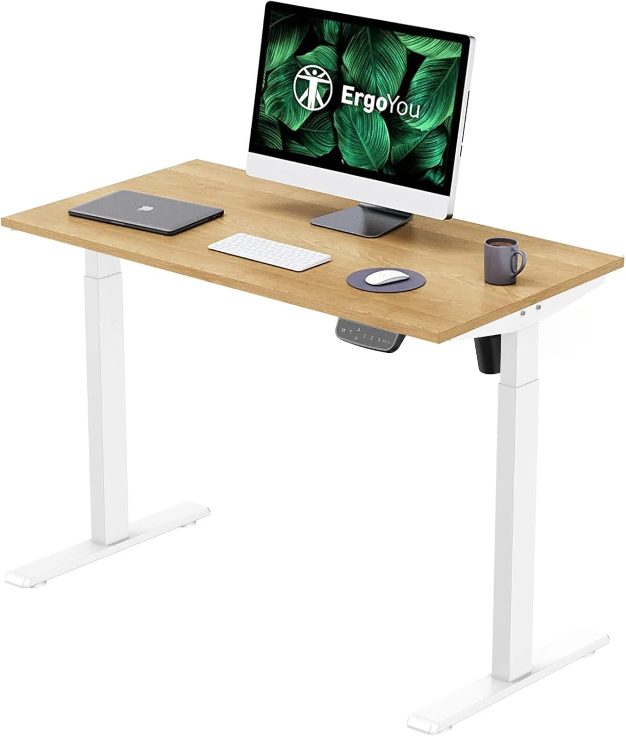 میز ایستاده با قابلیت تنظیم ارتفاع برقی ErgoYou - ابعاد 120x60 سانتی متر - موتور تکی دو مرحله ای - سری SM3 - میز کامپیوتر ارگونومیک - (افرا | 120x60 سانتی متر) میز ایستاده با قابلیت تنظیم ارتفاع برقی ErgoYou - ابعاد 120x60 سانتی متر - موتور تکی دو مرحله ای - سری SM3 - میز کامپیوتر ارگونومیک - (افرا | 120x60 سانتی متر)