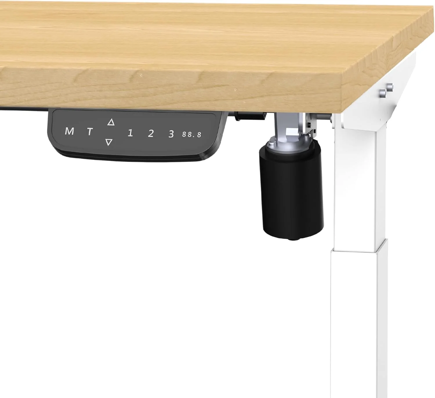 میز ایستاده با قابلیت تنظیم ارتفاع برقی ErgoYou - ابعاد 120x60 سانتی متر - موتور تکی دو مرحله ای - سری SM3 - میز کامپیوتر ارگونومیک - (افرا | 120x60 سانتی متر) میز ایستاده با قابلیت تنظیم ارتفاع برقی ErgoYou - ابعاد 120x60 سانتی متر - موتور تکی دو مرحله ای - سری SM3 - میز کامپیوتر ارگونومیک - (افرا | 120x60 سانتی متر)