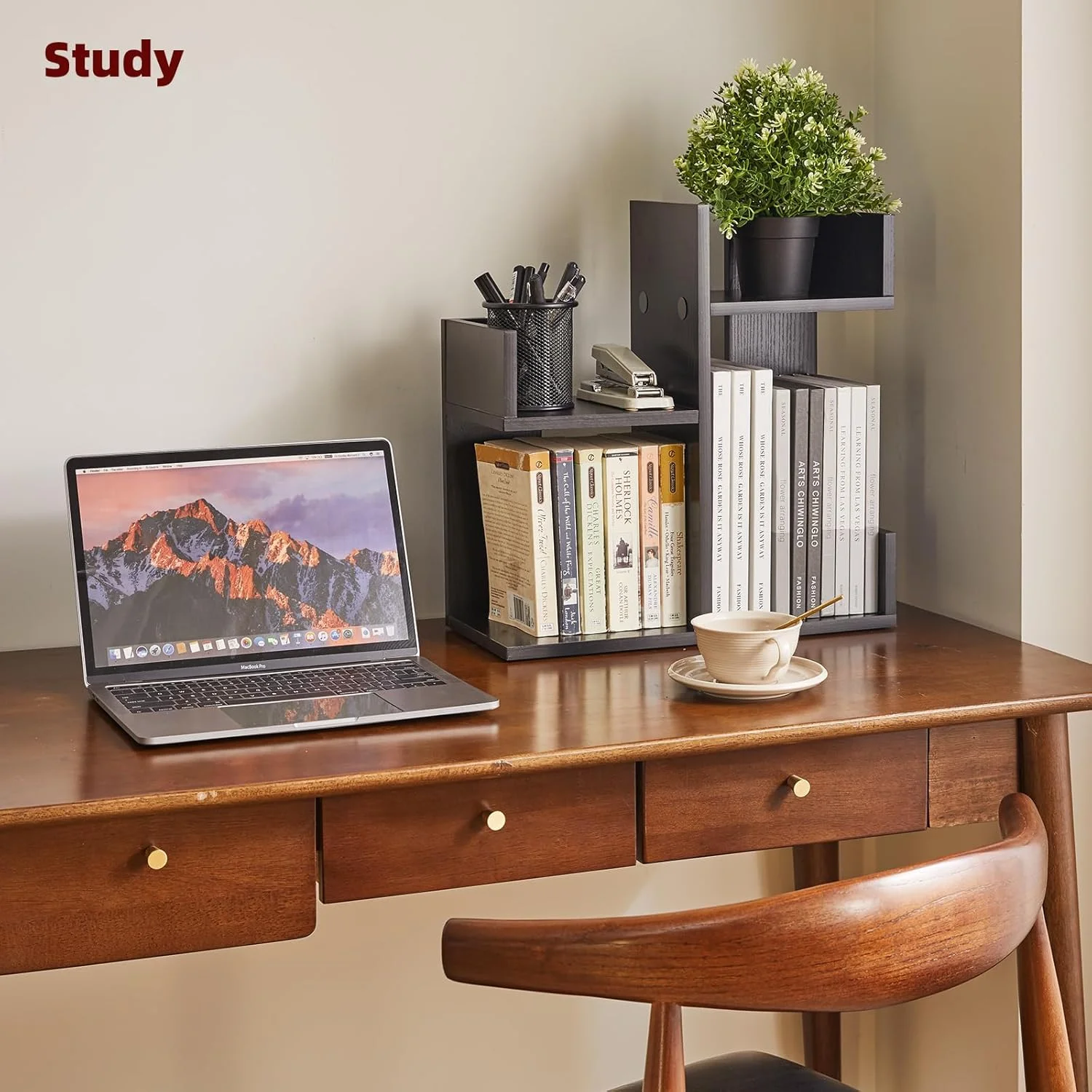 آیبیجو، نگهدارنده کتاب رومیزی، قفسه کتاب درختی زیبا و منحصر به فرد برای اتاق کودک، نگهدارنده کتاب برای میز، قفسه مشکی مدل YD-DSR002B آیبیجو، نگهدارنده کتاب رومیزی، قفسه کتاب درختی زیبا و منحصر به فرد برای اتاق کودک، نگهدارنده کتاب برای میز، قفسه مشکی مدل YD-DSR002B