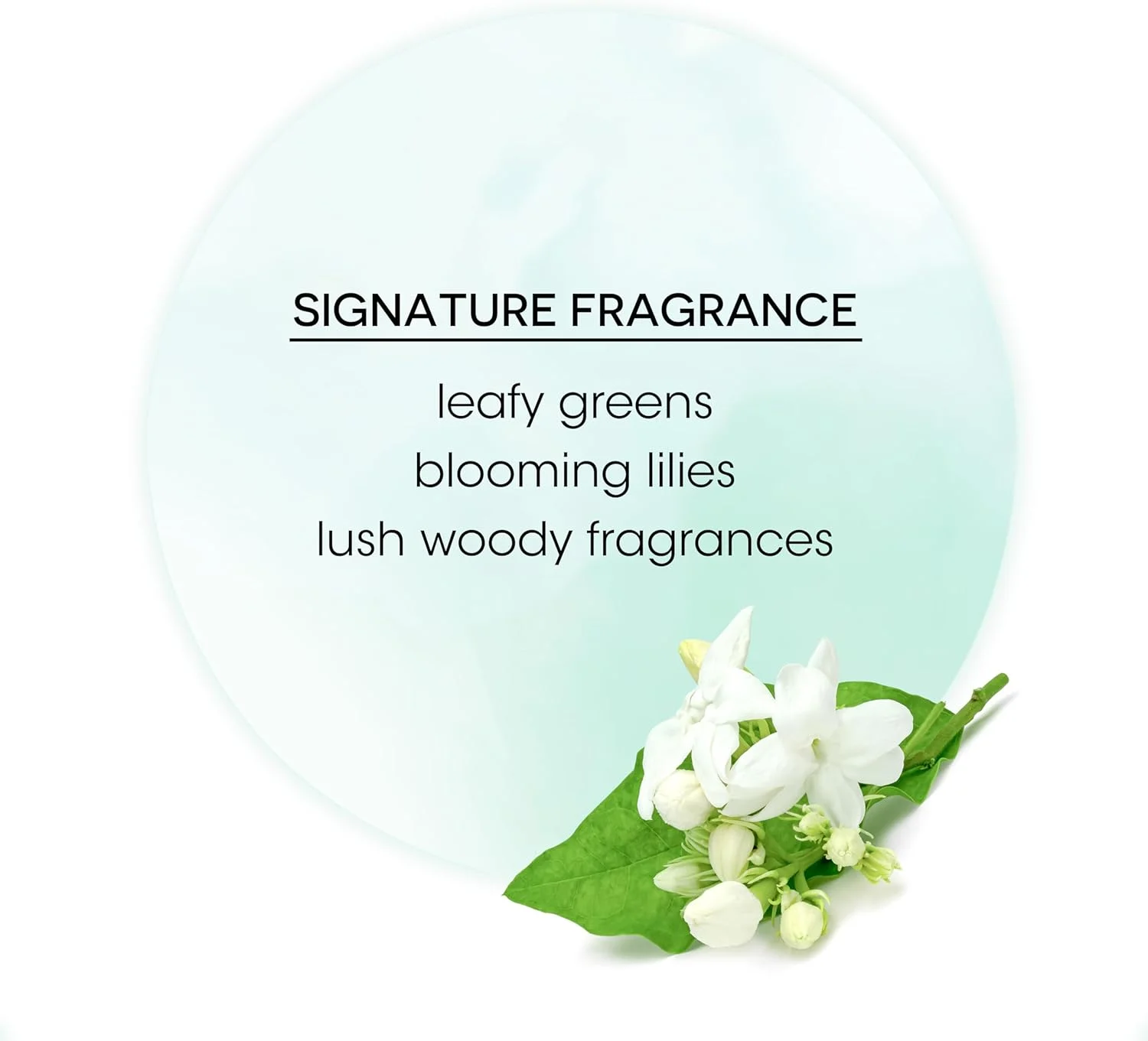 اسپری حالت دهنده انعطاف پذیر مو Bain de Terre Stay N Shape مناسب برای آقایان و بانوان - 270 میل اسپری حالت دهنده انعطاف پذیر مو Bain de Terre Stay N Shape مناسب برای آقایان و بانوان - 270 میل