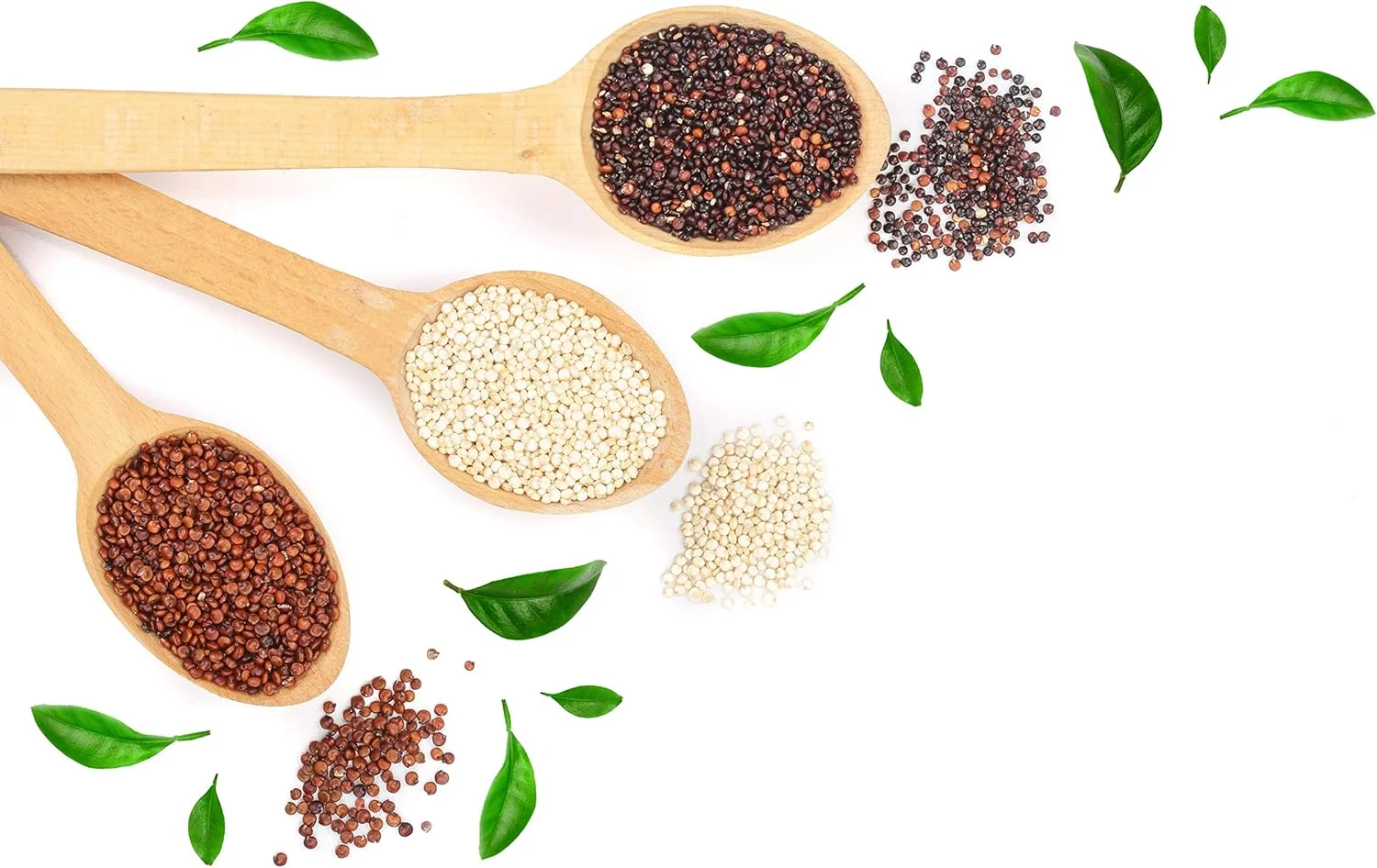 اسپری حالت دهنده فوری مو با عصاره کینوا Taya Beauty - اسپری مو برای حالت دادن و حجم دادن - حجم دهنده و تقویت کننده مو - اسپری بافت دهنده مو برای بانوان - 236 میلی لیتر اسپری حالت دهنده فوری مو با عصاره کینوا Taya Beauty - اسپری مو برای حالت دادن و حجم دادن - حجم دهنده و تقویت کننده مو - اسپری بافت دهنده مو برای بانوان - 236 میلی لیتر