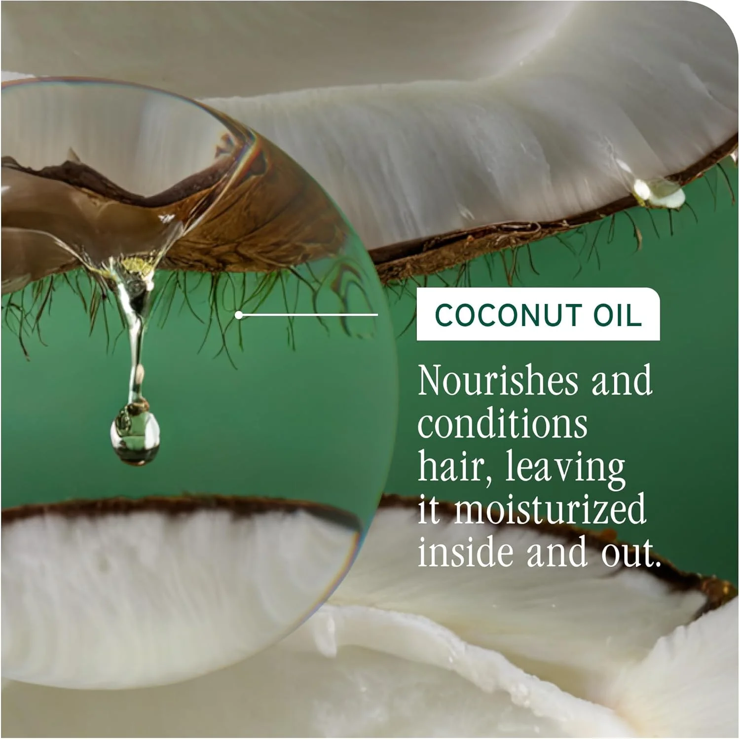 اسپری چند منظوره Biolage All-In-One - درمان بدون نیاز به آبکشی، محافظت در برابر حرارت، درخشش، کنترل وز، برای انواع مو، روغن نارگیل، وگان و بدون پارابن، 400 میلی لیتر، بسته بندی ممکن است متفاوت باشد اسپری چند منظوره Biolage All-In-One - درمان بدون نیاز به آبکشی، محافظت در برابر حرارت، درخشش، کنترل وز، برای انواع مو، روغن نارگیل، وگان و بدون پارابن، 400 میلی لیتر، بسته بندی ممکن است متفاوت باشد