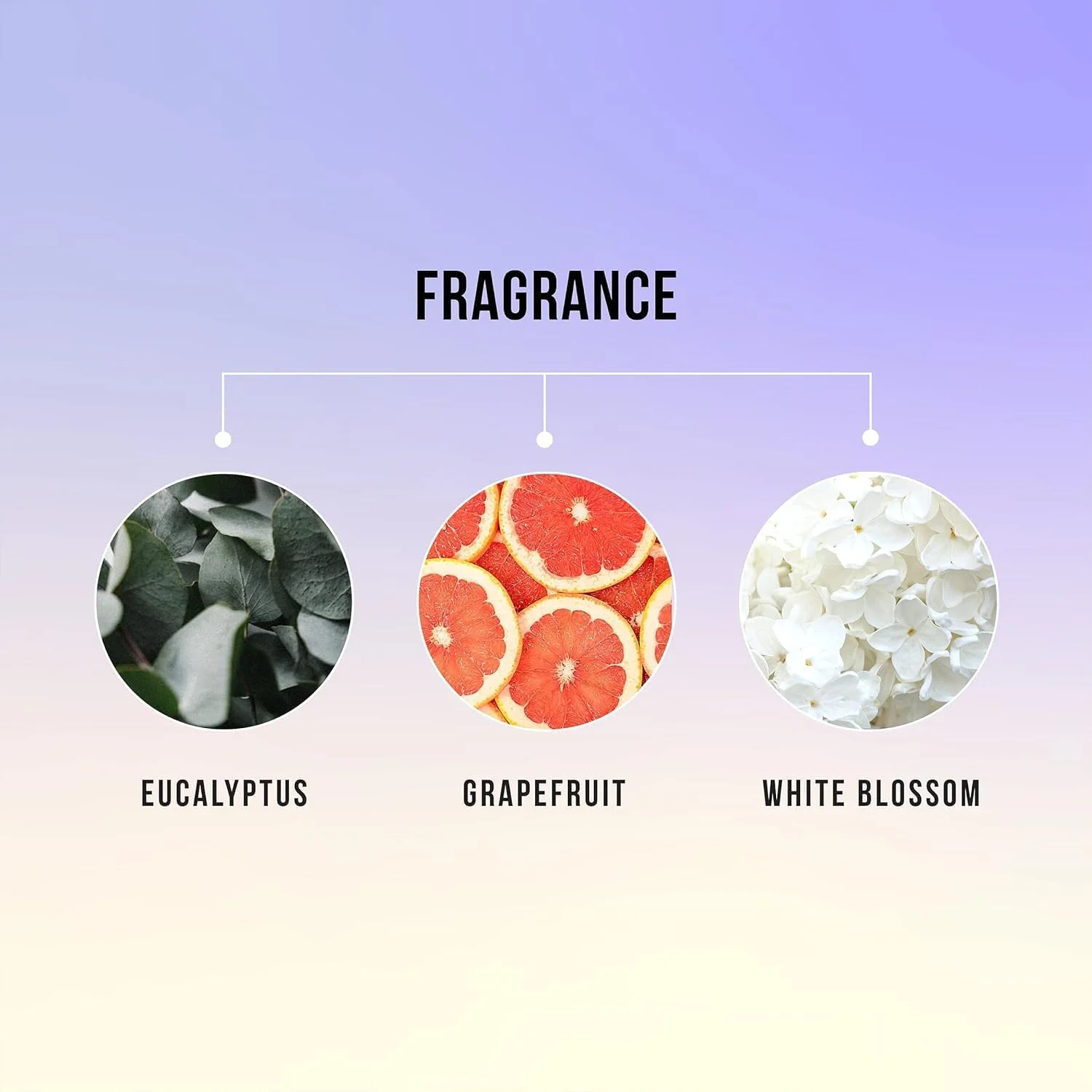 اسپری موی هاسک Biotin Boost 5-In-1 (بسته 2 عددی) | برای ضخیم و حجیم کردن مو | فاقد پارابن و الکل اسپری موی هاسک Biotin Boost 5-In-1 (بسته 2 عددی) | برای ضخیم و حجیم کردن مو | فاقد پارابن و الکل