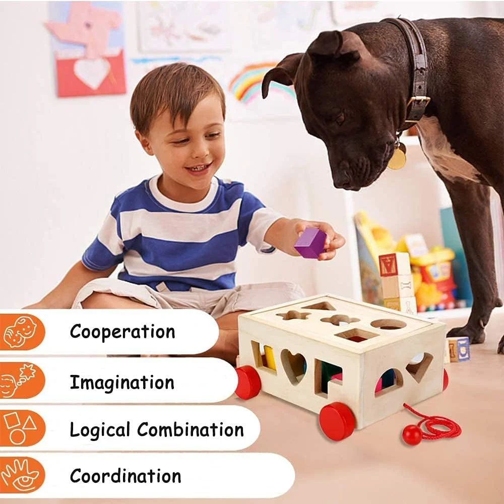 اسباب بازی مرتب سازی اشکال WOMDEE، اسباب بازی های ساختنی آموزشی برای کودکان، اسباب بازی بازی آموزشی زودهنگام نوزادان، هدیه تولد کودکان نوپا