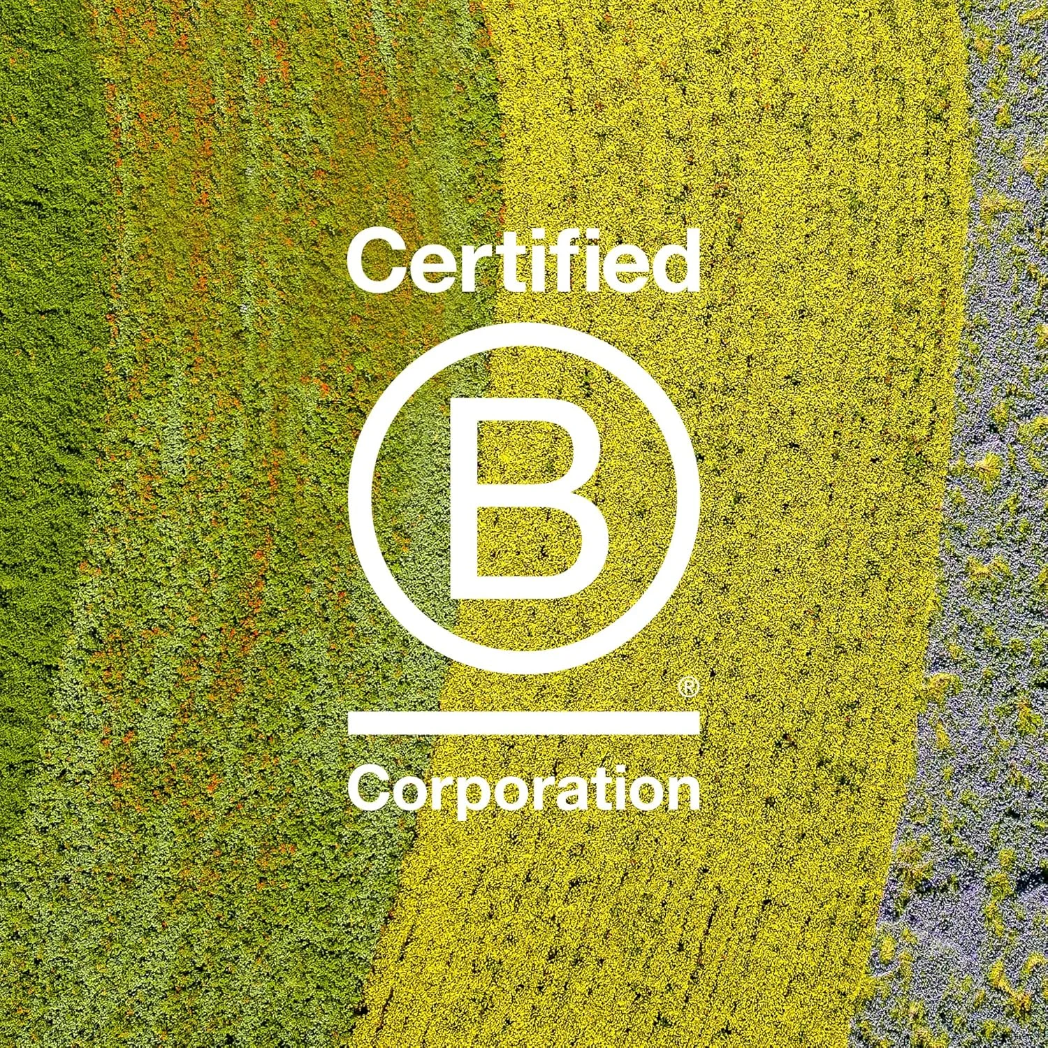 احیا کننده فر مو داوینس LOVE، کنترل وز و حفظ حالت ارتجاعی و پرش مو، 250 میلی لیتر