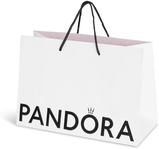 کیف اکولوژیکی متوسط برای جواهرات: انگشتر، دستبند، آویز، گوشواره و زیورآلات (21.5 x 16 x 8 سانتی متر)