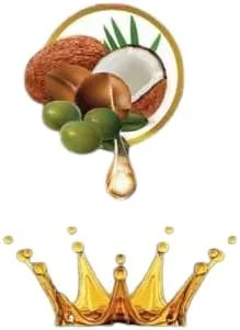 کوئینی کازرا - آرگان، نارگیل و زیتون (ترکیب روغن سه گانه قدرتمند) - اسپری درخشان کننده مغذی 500 میلی لیتر (28 میلی لیتر بیشتر) - برای موهای صاف، براق و سالم. کوئینی کازرا - آرگان، نارگیل و زیتون (ترکیب روغن سه گانه قدرتمند) - اسپری درخشان کننده مغذی 500 میلی لیتر (28 میلی لیتر بیشتر) - برای موهای صاف، براق و سالم.