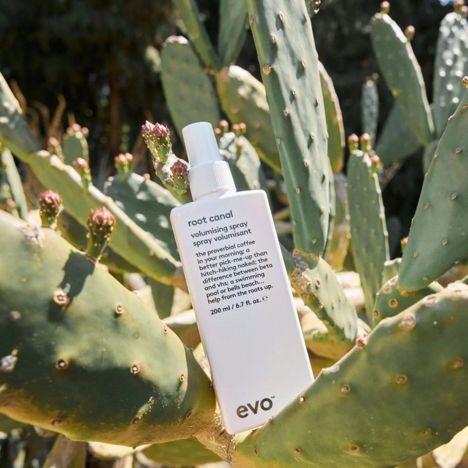 اسپری حجم دهنده مو Evo، ۲۰۰ میلی لیتر اسپری حجم دهنده مو Evo، ۲۰۰ میلی لیتر