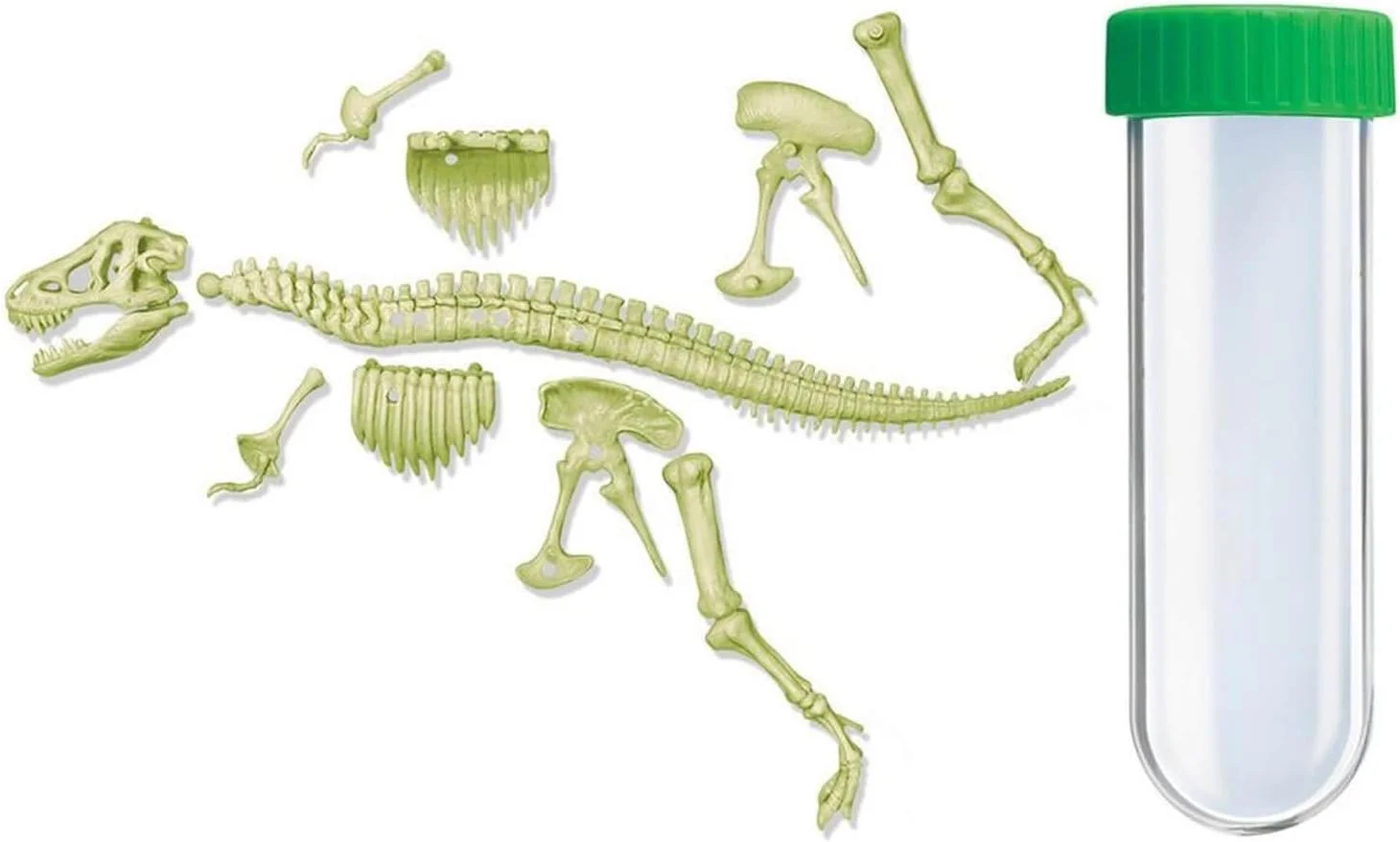 اسکلت تیرکس شبتاب 4M KidzLabs - ساخت مدل سه بعدی دایناسور شبتاب - اسباب بازی آموزشی STEM برای کودکان 8 سال به بالا - آموزش دیرینهشناسی و سرگرمی ماقبل تاریخ اسکلت تیرکس شبتاب 4M KidzLabs - ساخت مدل سه بعدی دایناسور شبتاب - اسباب بازی آموزشی STEM برای کودکان 8 سال به بالا - آموزش دیرینهشناسی و سرگرمی ماقبل تاریخ