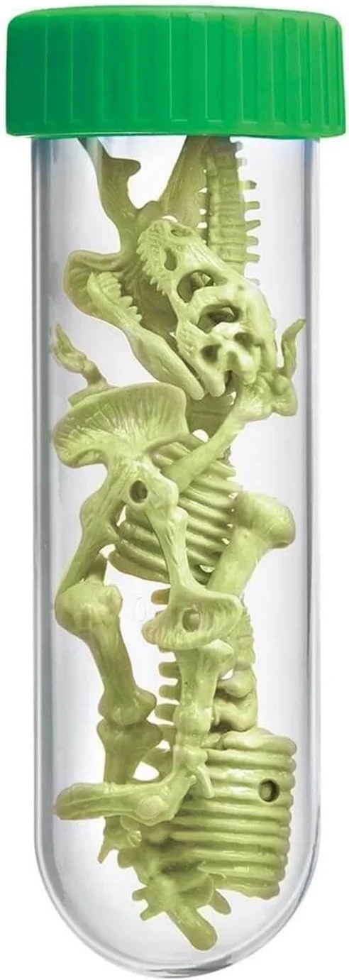 اسکلت تیرکس شبتاب 4M KidzLabs - ساخت مدل سه بعدی دایناسور شبتاب - اسباب بازی آموزشی STEM برای کودکان 8 سال به بالا - آموزش دیرینهشناسی و سرگرمی ماقبل تاریخ اسکلت تیرکس شبتاب 4M KidzLabs - ساخت مدل سه بعدی دایناسور شبتاب - اسباب بازی آموزشی STEM برای کودکان 8 سال به بالا - آموزش دیرینهشناسی و سرگرمی ماقبل تاریخ