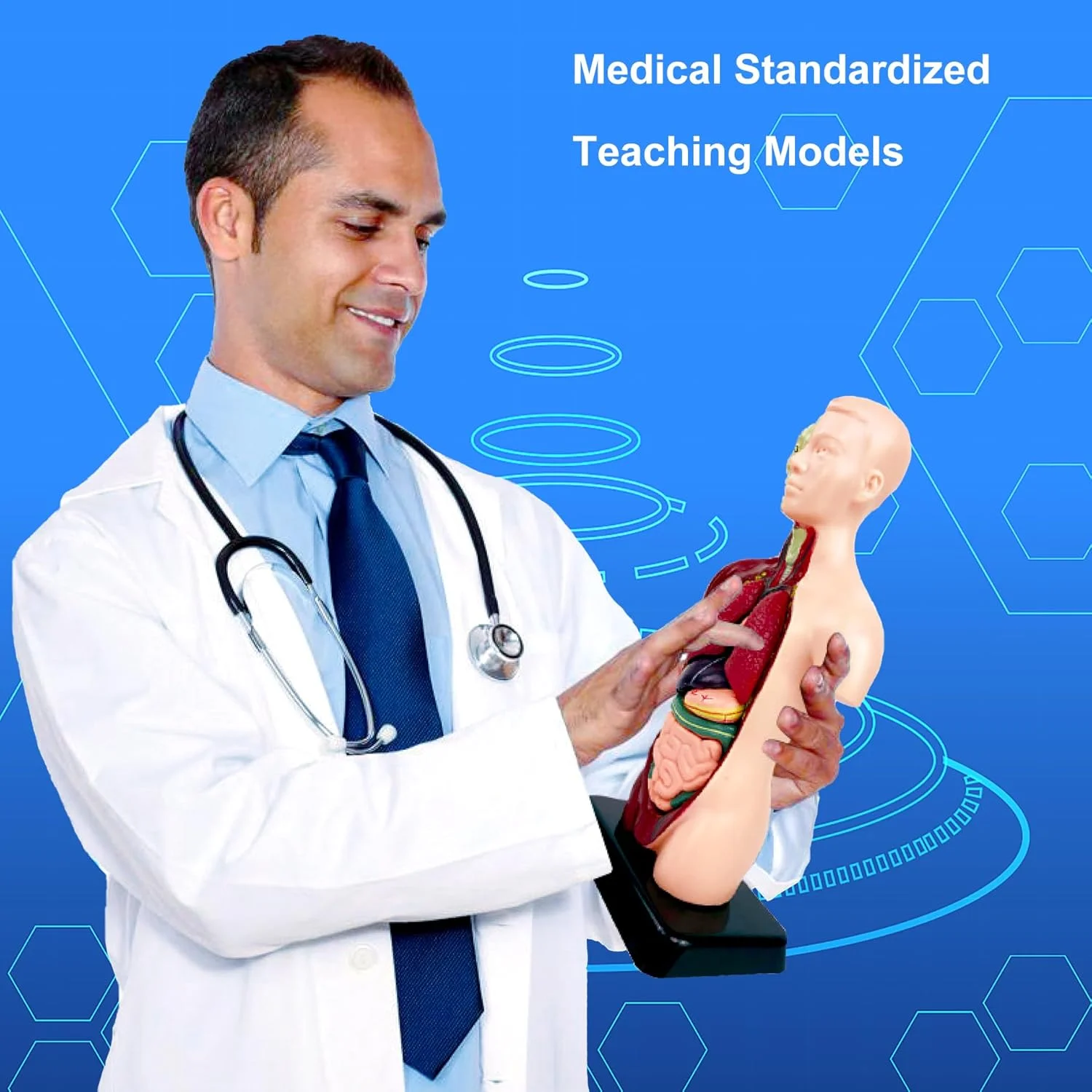 مدل بدن انسان با 7 مدل اندام قابل جابجایی، مدل های تشریحی اندام آموزشی برای یادگیری علوم زیست شناسی در کلاس درس دانش آموزان و معلمان، 9.6 اینچ مدل بدن انسان با 7 مدل اندام قابل جابجایی، مدل های تشریحی اندام آموزشی برای یادگیری علوم زیست شناسی در کلاس درس دانش آموزان و معلمان، 9.6 اینچ