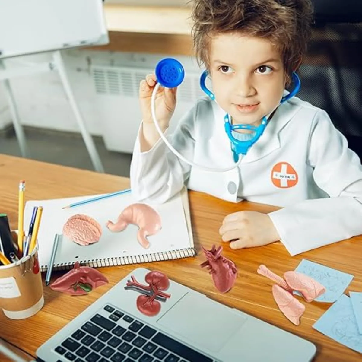 مدل آناتومی بدن انسان برای دانشجویان پزشکی – تنه سه بعدی با اندام های قابل جابجایی، مغز، قلب، ریه ها، معده، روده کوچک / کیت علمی آموزشی برای تدریس و یادگیری، شکل 17 اینچی