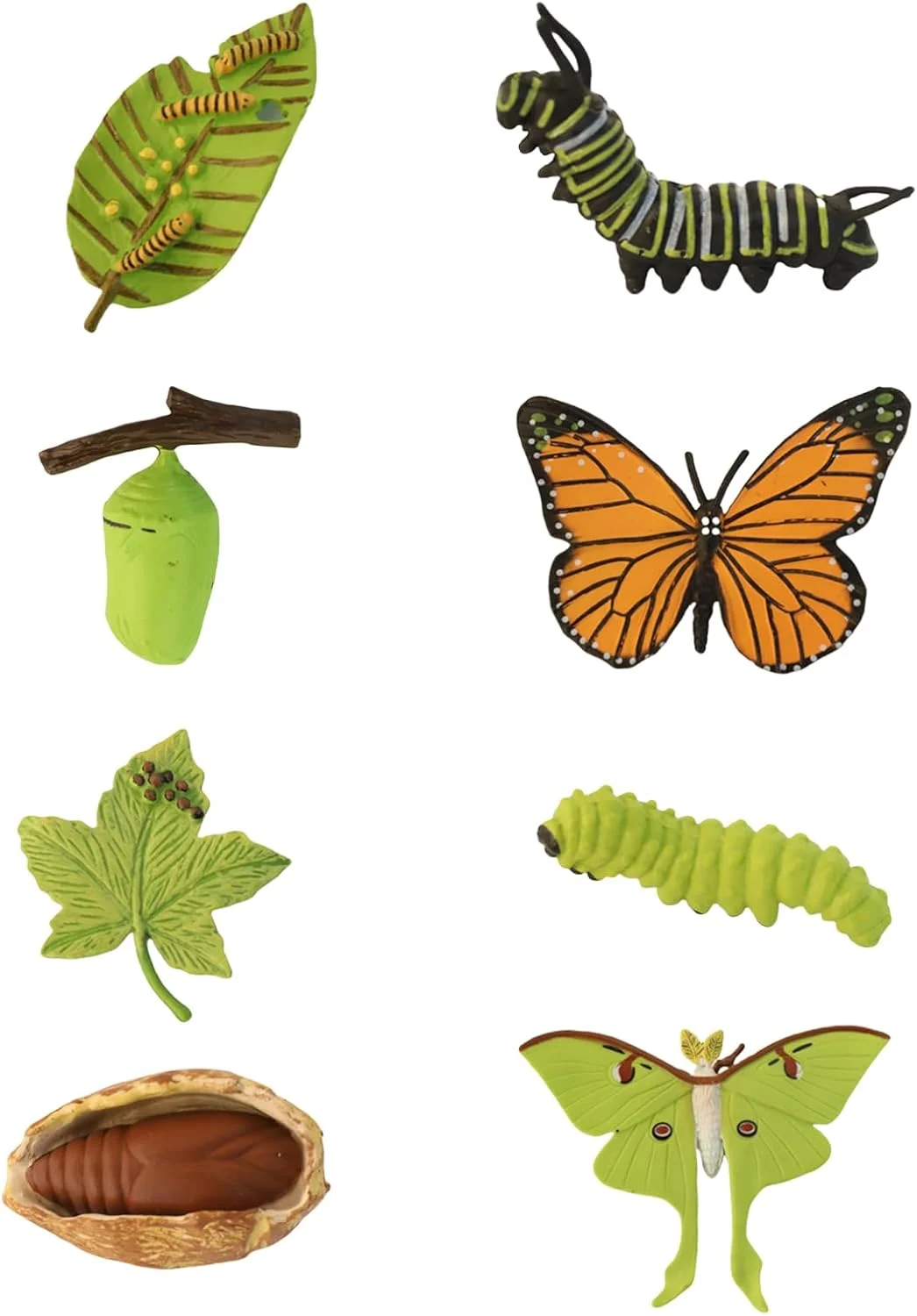 مجموعه مدل چرخه زندگی پروانه و پروانه ماه 8 تکه، مدل آموزشی واقعی کرم ابریشم، مناسب برای کودکان، آموزش در منزل، تدریس در کلاس، تزئینات مهمانی و دوستداران طبیعت