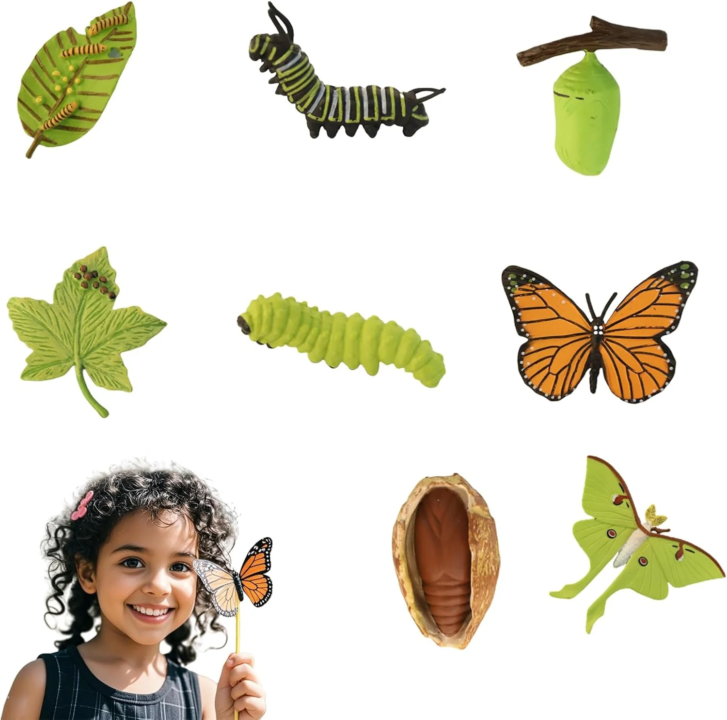مجموعه مدل چرخه زندگی پروانه و پروانه ماه 8 تکه، مدل آموزشی واقعی کرم ابریشم، مناسب برای کودکان، آموزش در منزل، تدریس در کلاس، تزئینات مهمانی و دوستداران طبیعت