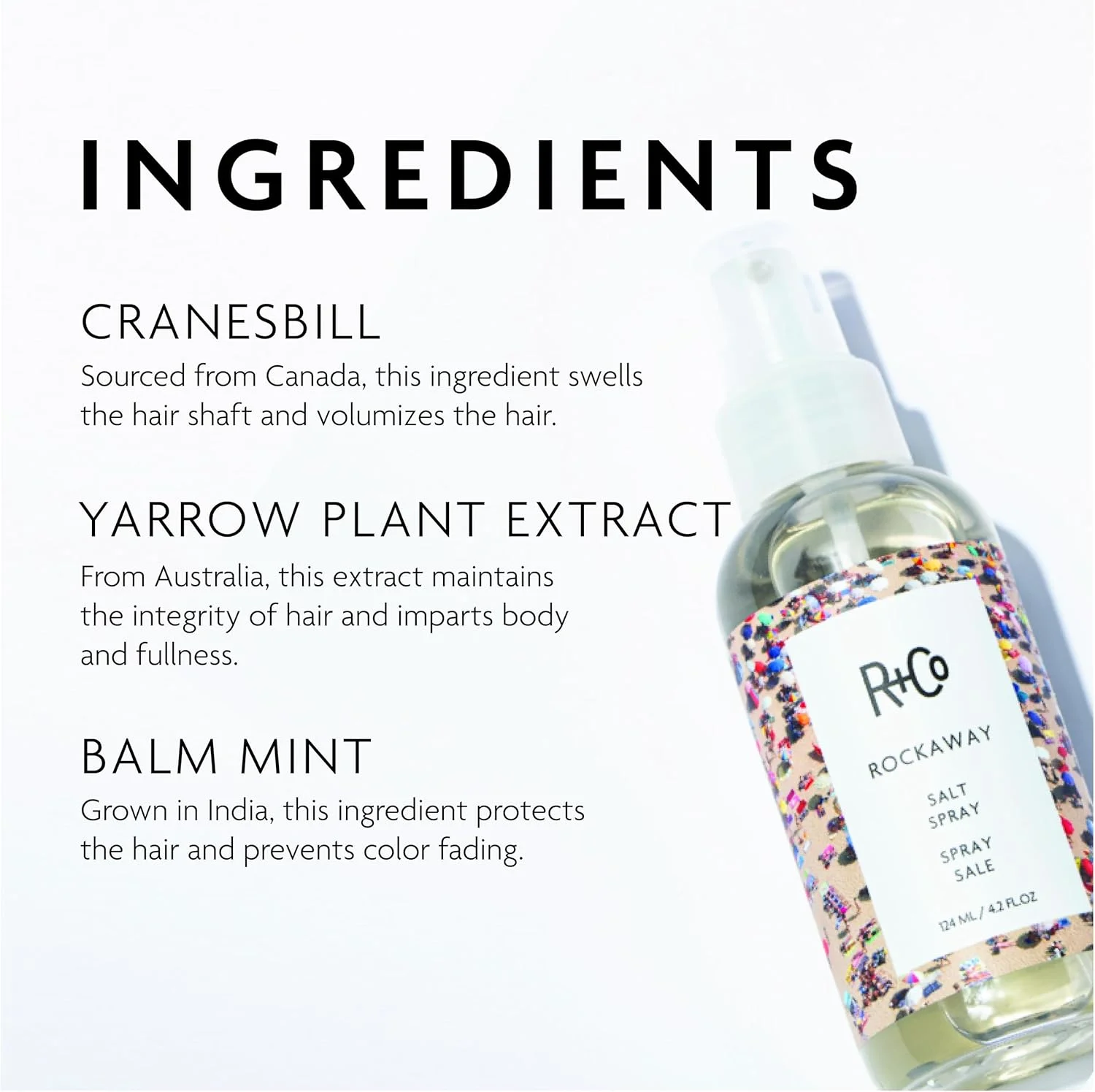 اسپری نمک مو R+Co Rockaway، ۱۲۵ میلی لیتر اسپری نمک مو R+Co Rockaway، ۱۲۵ میلی لیتر