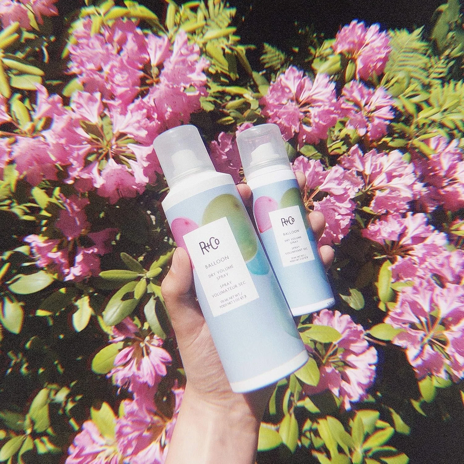 اسپری حجم دهنده مو R+Co Balloon Dry Travel | سبک، حجم دهنده بادوام + بافت قابل لمس | وگان + بدون تست حیوانی | 2 اونس (بسته بندی ممکن است متفاوت باشد) اسپری حجم دهنده مو R+Co Balloon Dry Travel | سبک، حجم دهنده بادوام + بافت قابل لمس | وگان + بدون تست حیوانی | 2 اونس (بسته بندی ممکن است متفاوت باشد)