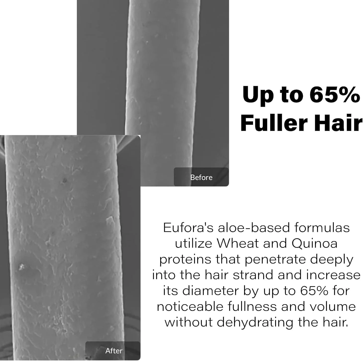 اسپری حجم دهنده فعال شده با حرارت Eufora Volume Fusion، 200 میلی لیتر اسپری حجم دهنده فعال شده با حرارت Eufora Volume Fusion، 200 میلی لیتر