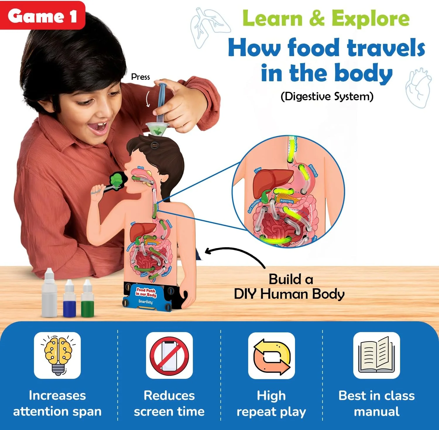 مدل دستگاه گوارش هوشمند | اسباب بازی آموزشی تغذیه و بدن انسان برای کودکان 6-12 سال | کیت علمی بدن انسان به همراه کارت های غذا و ردیاب رژیم غذایی | هدیه تولد آموزشی برای پسران و دختران