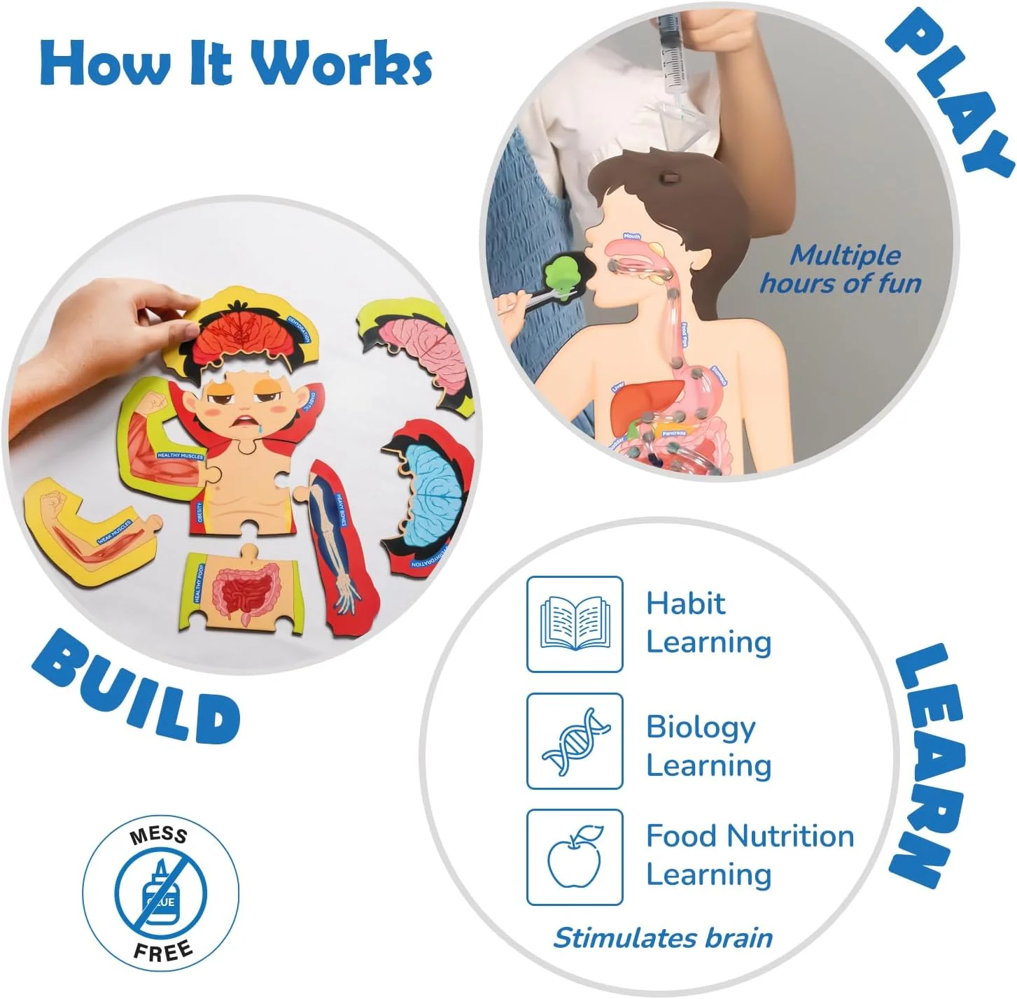 مدل دستگاه گوارش هوشمند | اسباب بازی آموزشی تغذیه و بدن انسان برای کودکان 6-12 سال | کیت علمی بدن انسان به همراه کارت های غذا و ردیاب رژیم غذایی | هدیه تولد آموزشی برای پسران و دختران