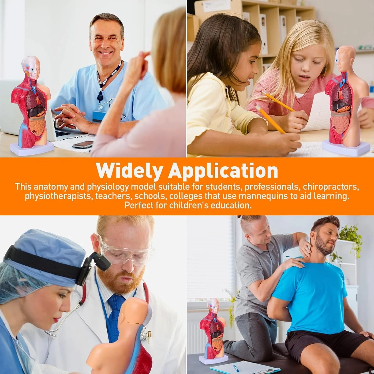 مدل بدن انسان TERRIFI برای کودکان، مدل آناتومی تنه انسان با 15 قطعه جداشدنی، اعضای بدن برای کودکان نوپا، اسباب بازی های آموزشی پیش دبستانی، مناسب برای سنین 4 سال به بالا، آموزش دانشجویان پزشکی، نمایش آموزشگاهی (11 اینچ) مدل بدن انسان TERRIFI برای کودکان، مدل آناتومی تنه انسان با 15 قطعه جداشدنی، اعضای بدن برای کودکان نوپا، اسباب بازی های آموزشی پیش دبستانی، مناسب برای سنین 4 سال به بالا، آموزش دانشجویان پزشکی، نمایش آموزشگاهی (11 اینچ)