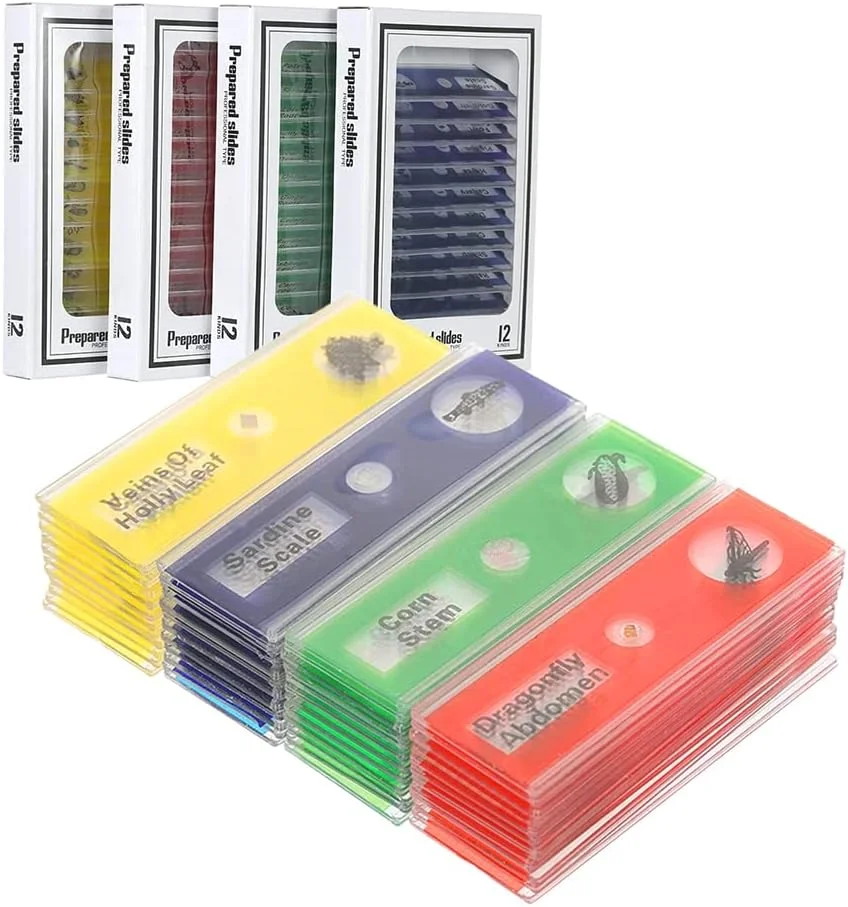 اسلایدهای میکروسکوپ آماده کودکان، 48 عدد، شامل نمونه های حیوانات، حشرات، گیاهان و گل ها، مناسب برای میکروسکوپ های کودکان اسلایدهای میکروسکوپ آماده کودکان، 48 عدد، شامل نمونه های حیوانات، حشرات، گیاهان و گل ها، مناسب برای میکروسکوپ های کودکان