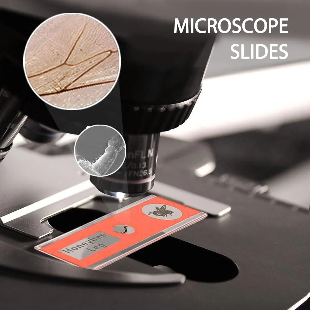 اسلایدهای میکروسکوپ آماده کودکان، 48 عدد، شامل نمونه های حیوانات، حشرات، گیاهان و گل ها، مناسب برای میکروسکوپ های کودکان اسلایدهای میکروسکوپ آماده کودکان، 48 عدد، شامل نمونه های حیوانات، حشرات، گیاهان و گل ها، مناسب برای میکروسکوپ های کودکان