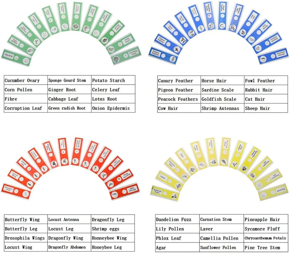 اسلایدهای میکروسکوپ آماده کودکان، 48 عدد، شامل نمونه های حیوانات، حشرات، گیاهان و گل ها، مناسب برای میکروسکوپ های کودکان اسلایدهای میکروسکوپ آماده کودکان، 48 عدد، شامل نمونه های حیوانات، حشرات، گیاهان و گل ها، مناسب برای میکروسکوپ های کودکان
