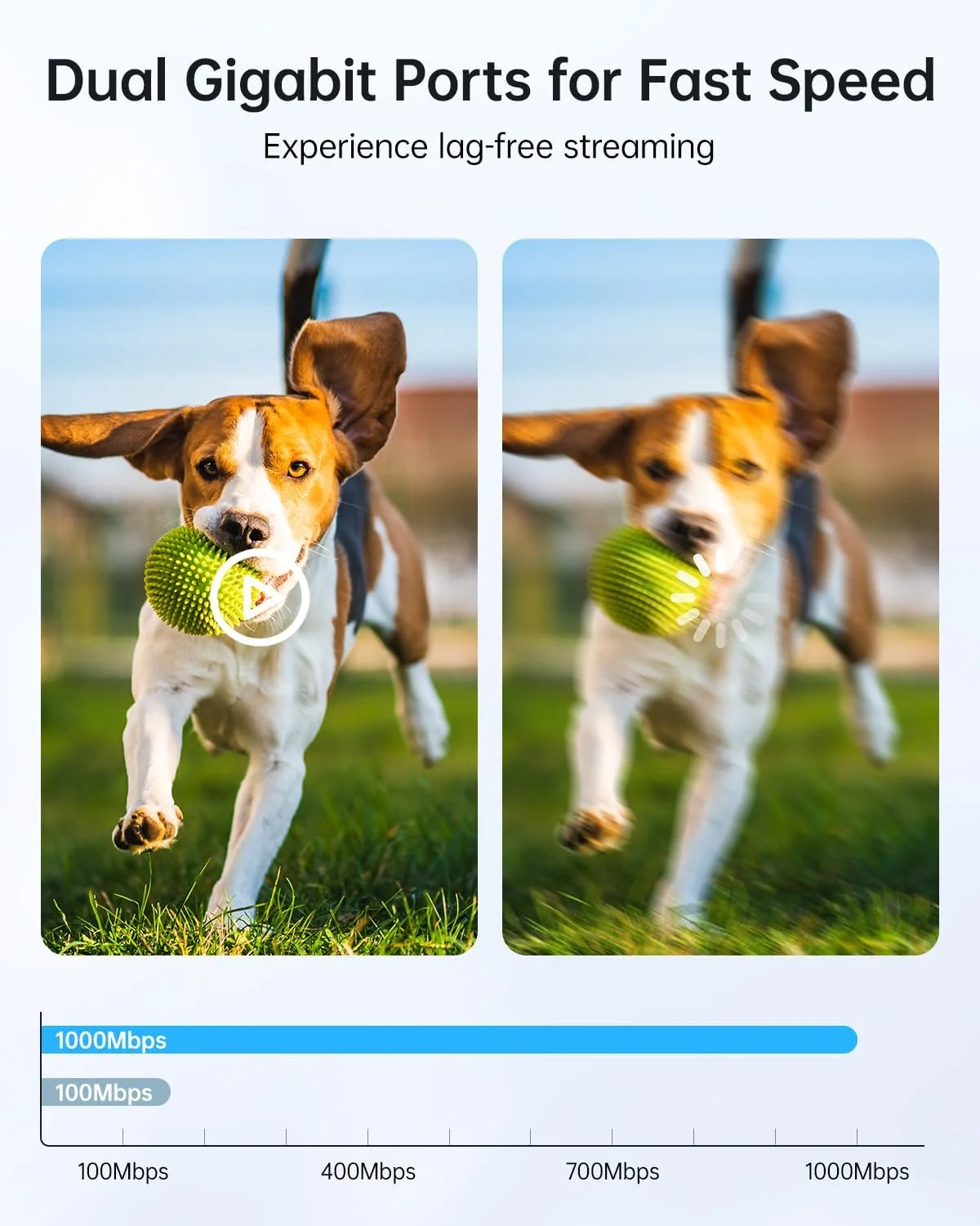 پل بیسیم نقطه به نقطه بیرونی | پل وایفای 5.8 گیگاهرتز | برد بلند 5 کیلومتر | پورتهای دوگانه 1000 مگابیت بر ثانیه | ضد آب و هوا IP66 | 24 ولت PoE مشکی برای انبار/مزرعه/فروشگاه پل بیسیم نقطه به نقطه بیرونی | پل وایفای 5.8 گیگاهرتز | برد بلند 5 کیلومتر | پورتهای دوگانه 1000 مگابیت بر ثانیه | ضد آب و هوا IP66 | 24 ولت PoE مشکی برای انبار/مزرعه/فروشگاه