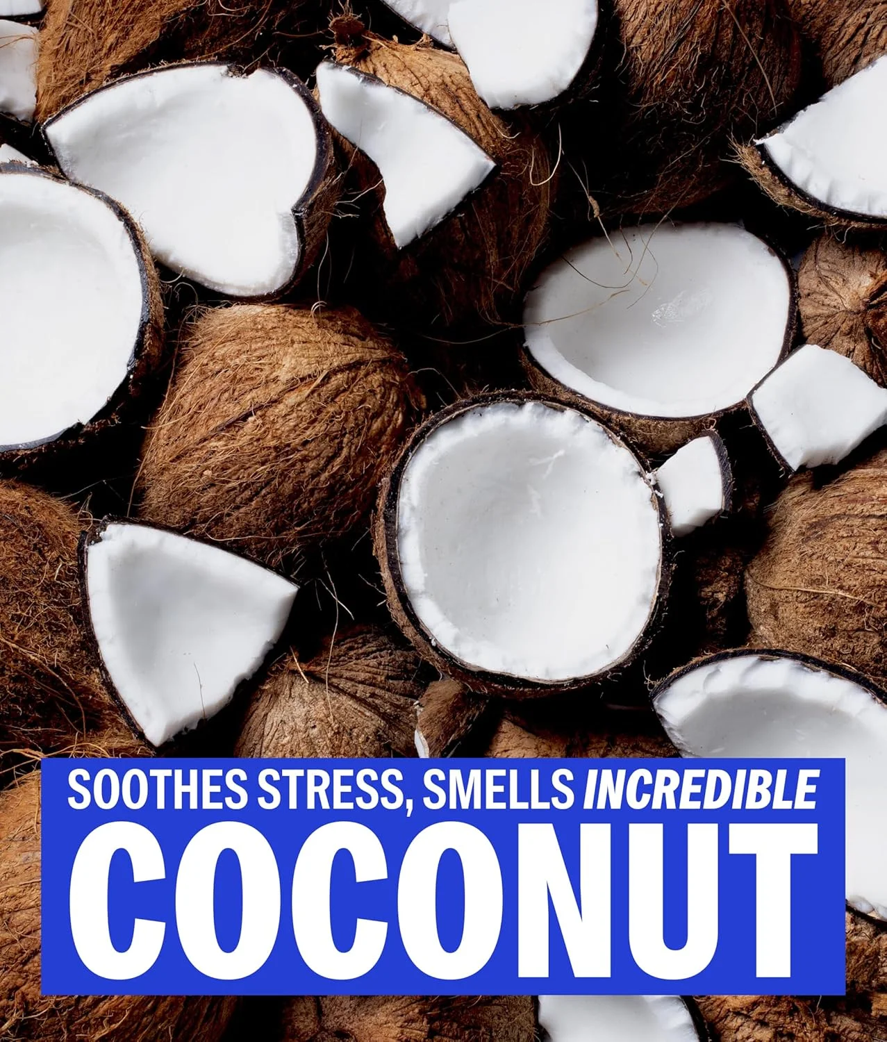 واکس موی فوق العاده قوی حالت دهنده موی مردانه داشو واکس موی فوق العاده قوی حالت دهنده موی مردانه داشو