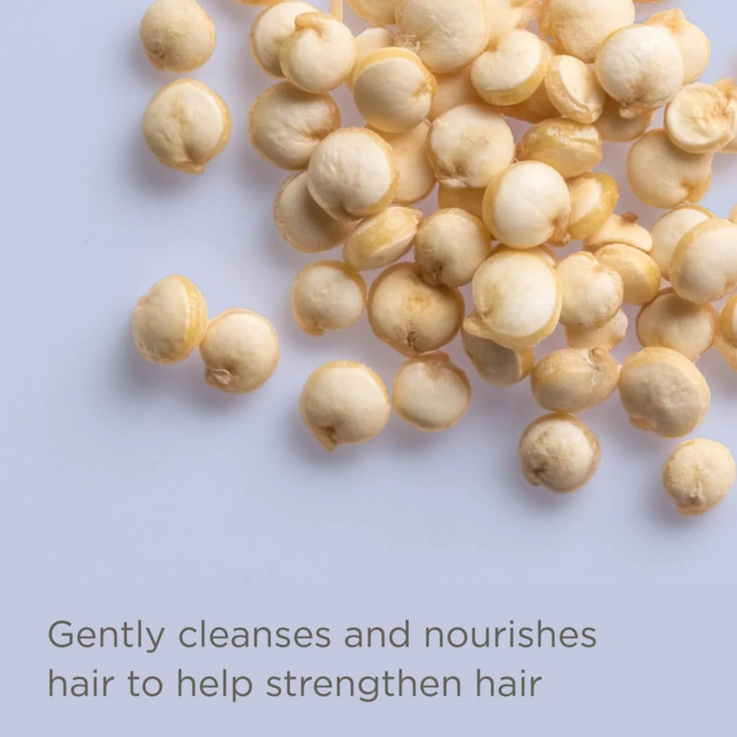 موس فوم حالت دهنده مو Hairitage Have It All با پروتئین کینوا + برنج برای کنترل وز و رطوبت - فرمول سبک - موها را پرپشت + حجیم می کند - حالت دهنده مو + فر، 141 گرم