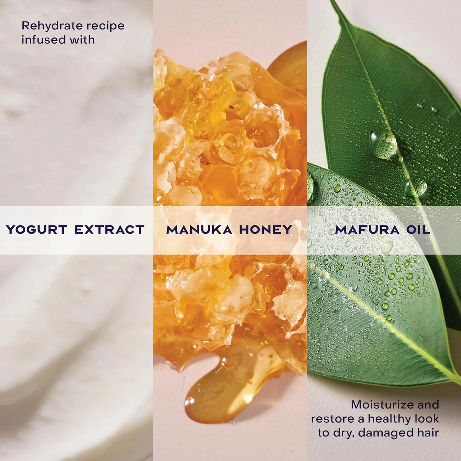 موس حالت دهنده مو حاوی عسل مانوکا و ماست Shea Moisture برای تغذیه مو 222 میل