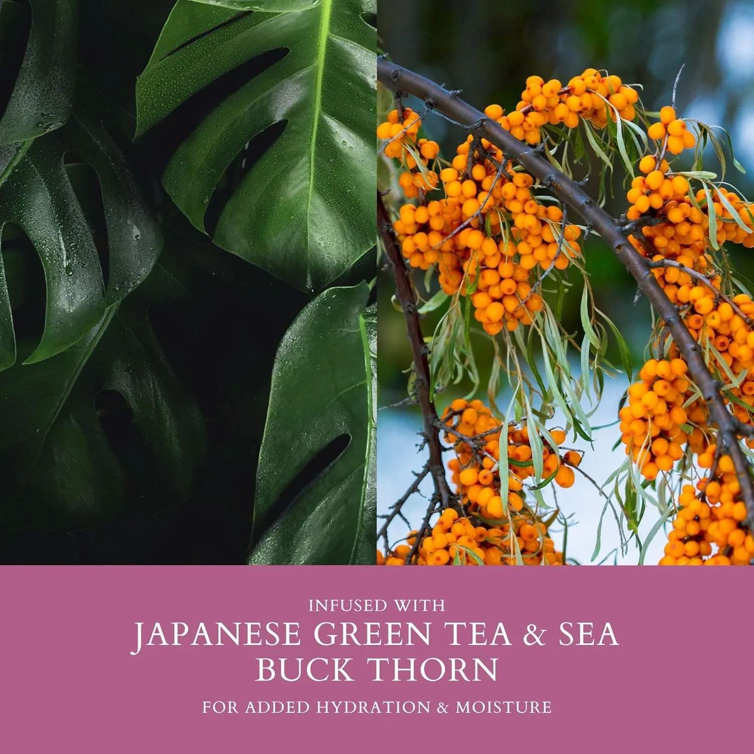 موس فوم حجم دهنده اسمارت سولوشنز، 250 میلی لیتر | بدون چسبندگی | حالت دهنده سبک موس فوم حجم دهنده اسمارت سولوشنز، 250 میلی لیتر | بدون چسبندگی | حالت دهنده سبک