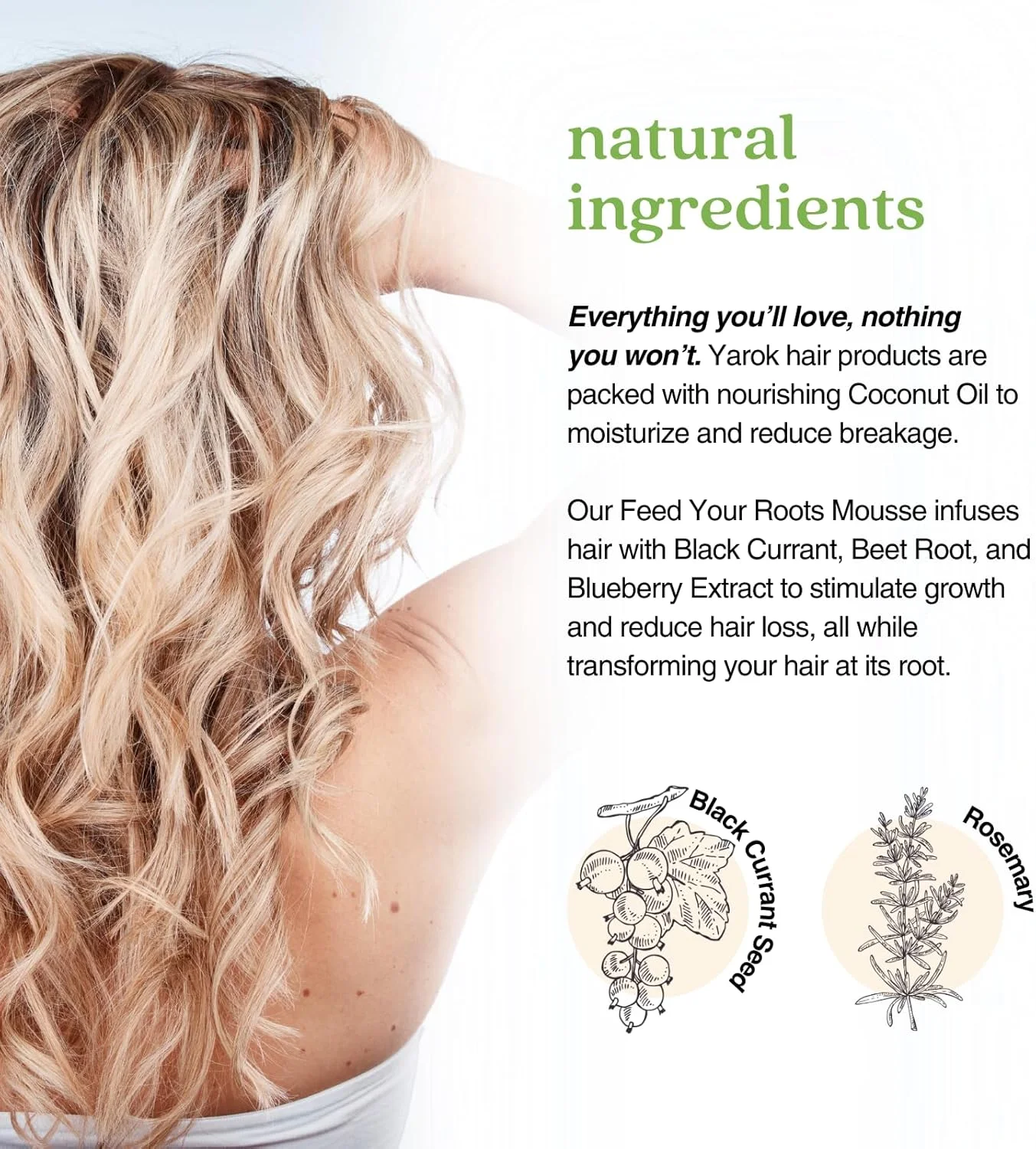 تقویت کننده ریشه مو یاروک، 236 میلی لیتر