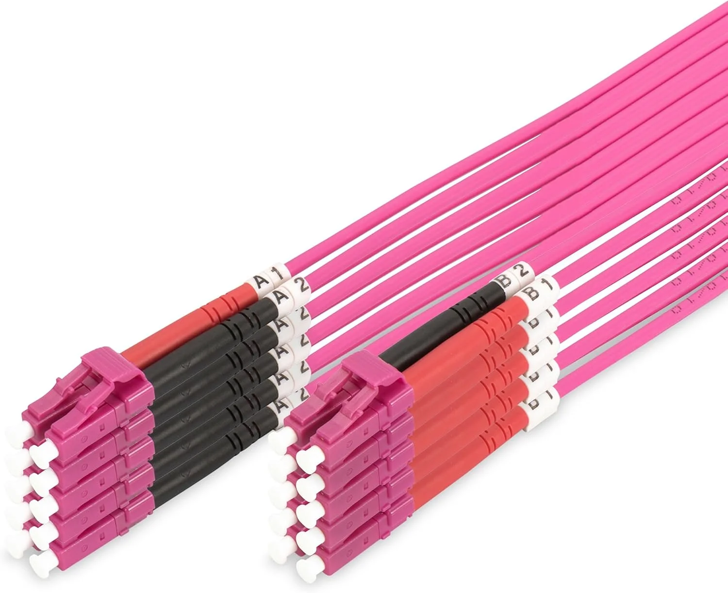 DIGITUS DK-2533-02-4 - کابل فیبر نوری OM4 - بسته 5 عددی - 2 متری - LC به LC - کابل فیبر نوری دوبلکس - 1/10/40/100 گیگابیت بر ثانیه - کابل LAN فیبر چند حالته MM - نوع فیبر: 50/125µ - بنفش (بنفش)