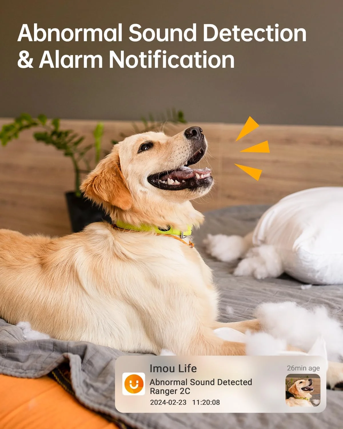 دوربین خانگی ایمو 1080P، دوربین امنیتی داخلی، دوربین وای فای 360 درجه برای خانه، هوشمند با تشخیص انسان توسط هوش مصنوعی، ردیابی حرکت، صدای دو طرفه، دید در شب IR، آژیر برای مراقبت از کودک (Ranger 2C 1080P) دوربین خانگی ایمو 1080P، دوربین امنیتی داخلی، دوربین وای فای 360 درجه برای خانه، هوشمند با تشخیص انسان توسط هوش مصنوعی، ردیابی حرکت، صدای دو طرفه، دید در شب IR، آژیر برای مراقبت از کودک (Ranger 2C 1080P)