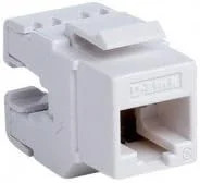 دی-لینک 2 پورت RJ45 CAT6E LAN I/O کیستون جک + جعبه اتصال + صفحه رو دوقلو (ترکیبی)