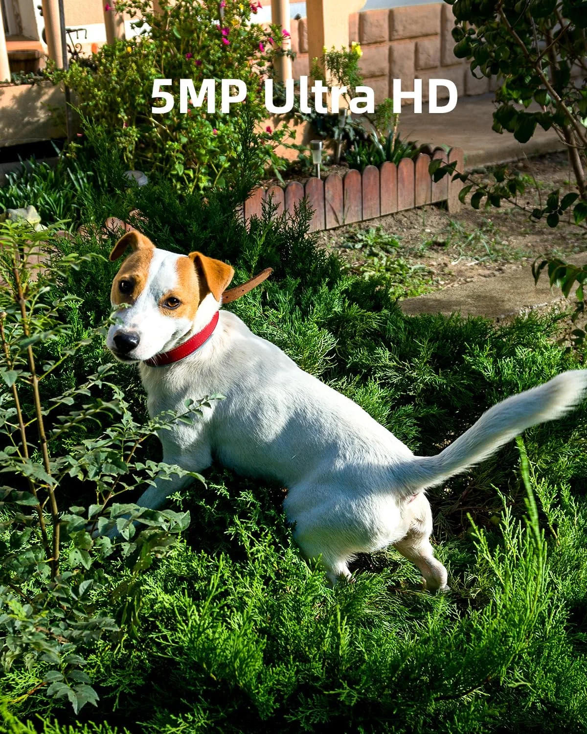 دوربین امنیتی بی سیم داخلی/خارجی نوریو مدل B211 با کیفیت 2K+، دوربین بلوتوثی برای امنیت خانه، دوربین امنیتی با قابلیت تشخیص حرکت، نورافکن، دید در شب رنگی، حافظه داخلی 16 گیگابایتی، سازگار با الکسا، اتصال مغناطیسی