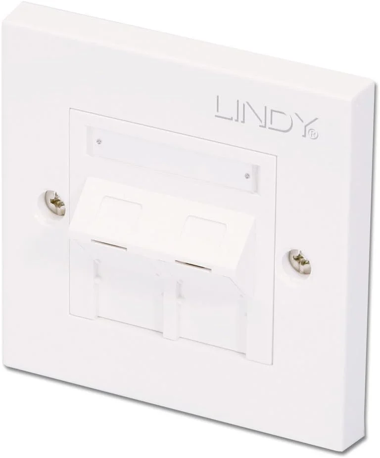 صفحه دیواری تکی LINDY CAT5e با 2 سوکت زاویه دار RJ-45 بدون شیلد و دارای شاتر