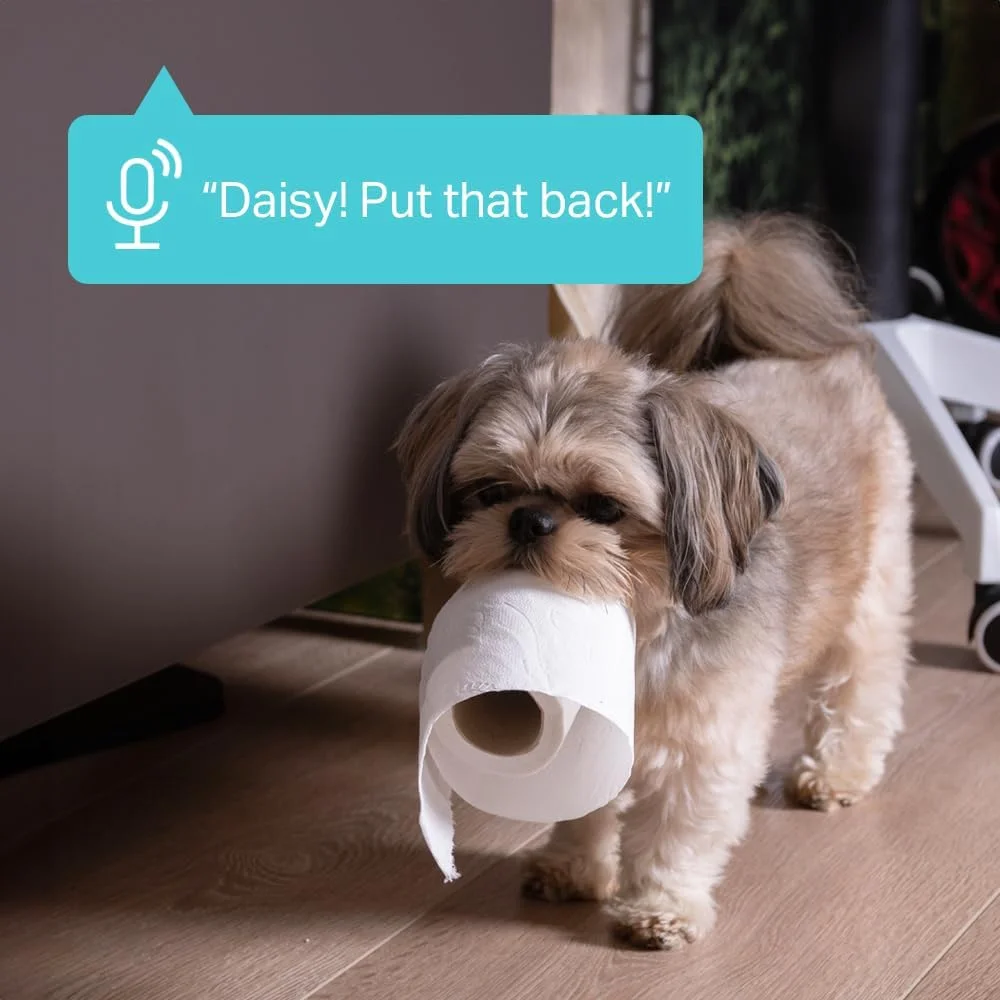 دوربین مداربسته وای فای هوشمند خانگی TP-Link Tapo با وضوح 2K | تشخیص انسان، وسیله نقلیه و حیوان خانگی | شاتر فیزیکی حریم خصوصی | پوشش زاویه باز 140 درجه | نصب مغناطیسی | آلارم صوتی قابل تنظیم (C125)