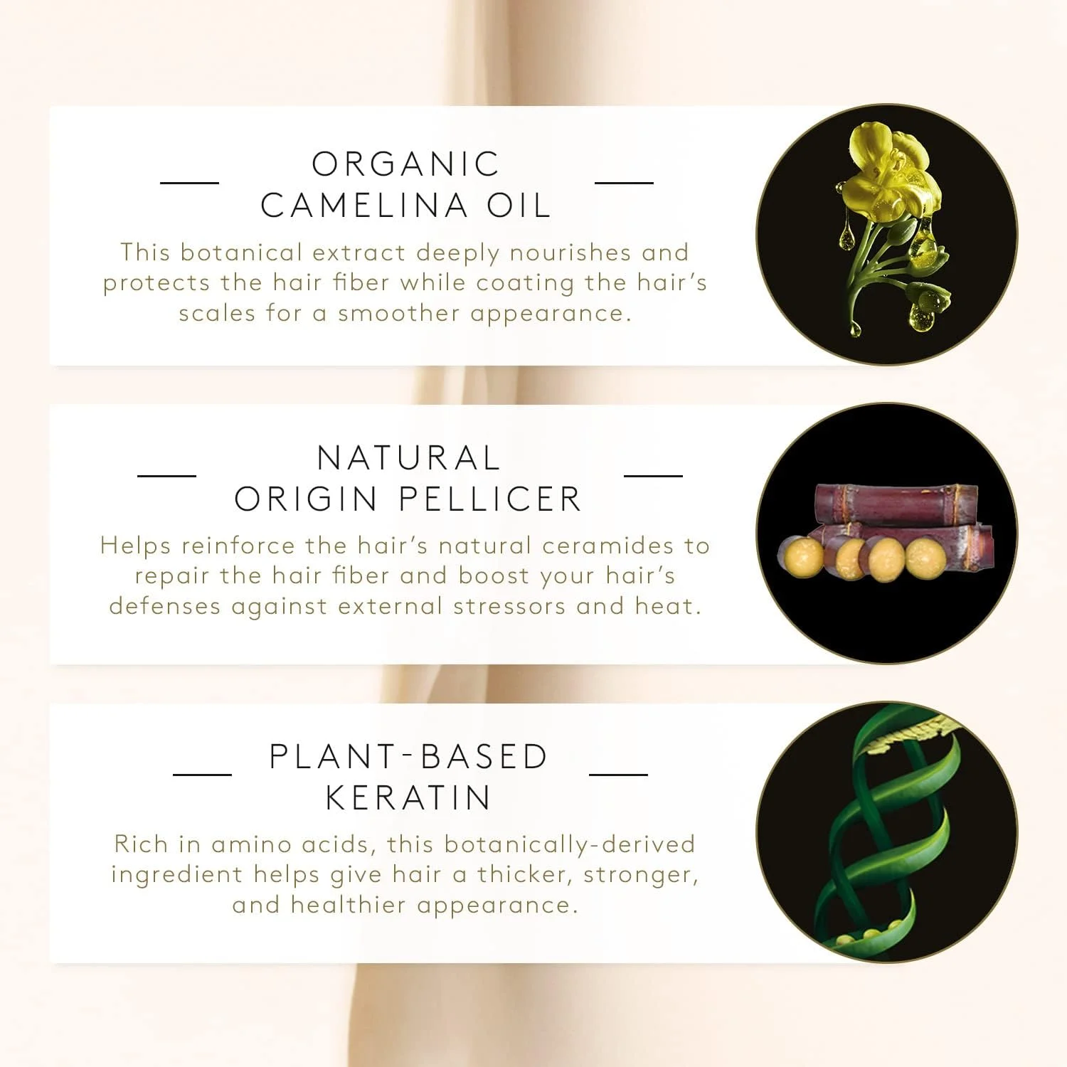 ماسک ترمیم کننده موهای آسیب دیده و نازک Absolue Keratine از رنه فورترر، 200 میلی لیتر