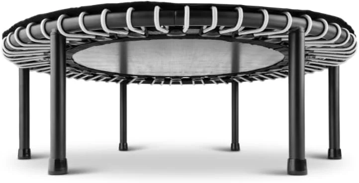 ترامپولین ورزشی Leaps & ReBounds - تشک محافظ تمام قد - کمترین ضربه به مفاصل - کالری سوزی بالا - بهبود عملکرد قلب و عروق، تعادل و قدرت بدنی ترامپولین ورزشی Leaps & ReBounds - تشک محافظ تمام قد - کمترین ضربه به مفاصل - کالری سوزی بالا - بهبود عملکرد قلب و عروق، تعادل و قدرت بدنی