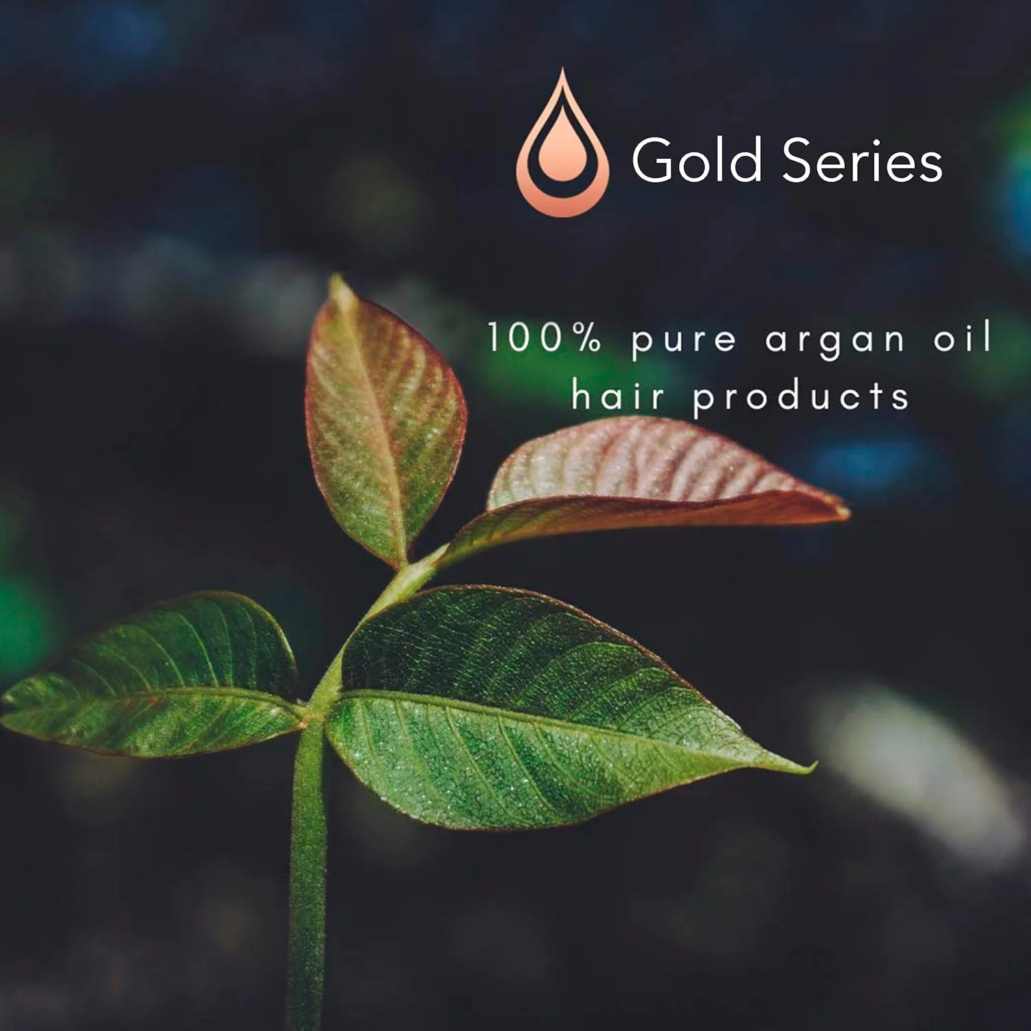 ماسک مو بدون نیاز به آبکشی Moroccan Gold Series – ماسک مو روغن آرگان غنی شده با کراتین – مغذی و باز کننده گره مو به آرامی، اسپری نرم کننده بدون نیاز به آبکشی برای موهای فر، وز یا آسیب دیده، 250 میلی لیتر