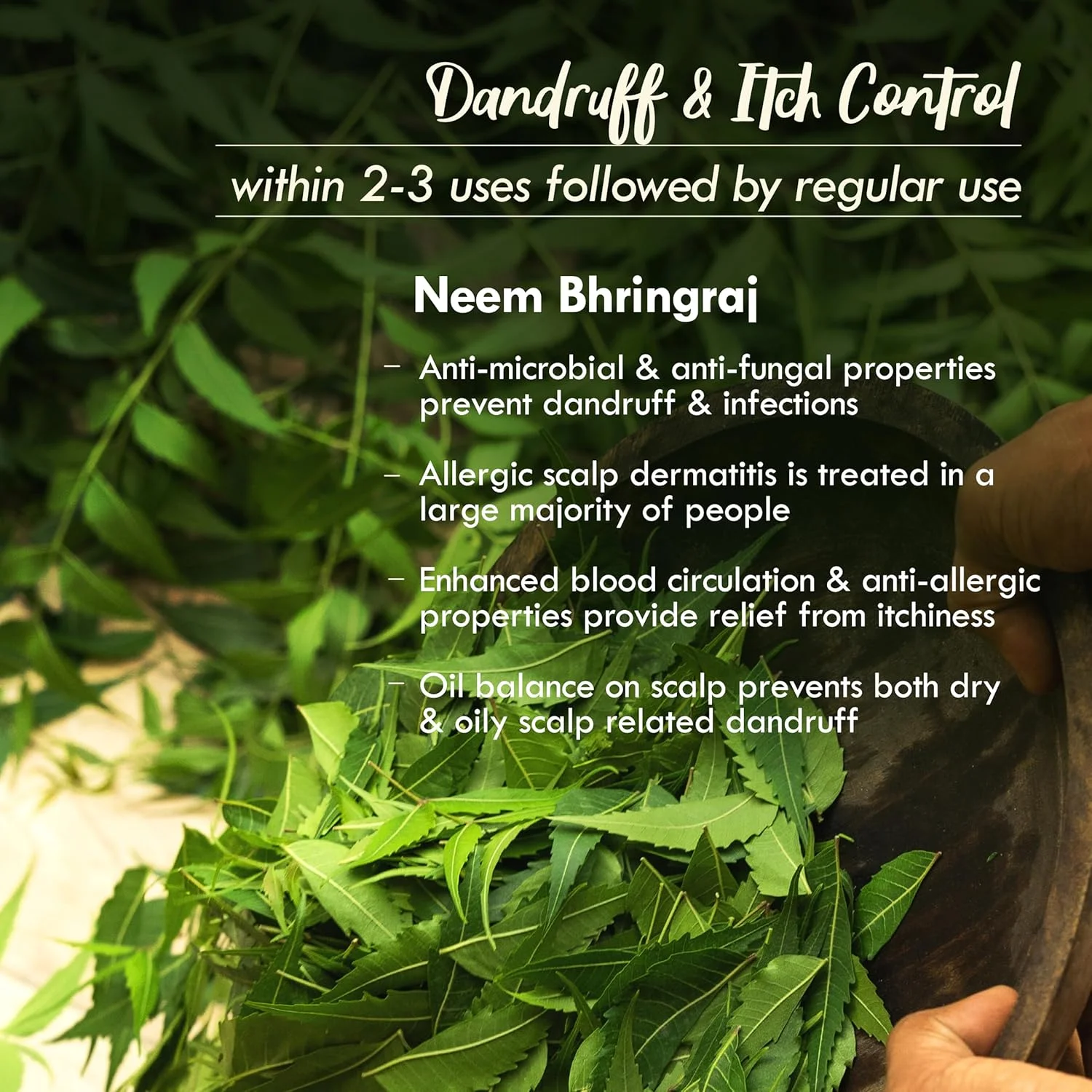 نَت هبیت - ماسک موی تازه نيم و برينگراج | ضد شوره، کنترل خارش و صاف کننده مو | درمان موهای خشک و وز | کرچک، نارگیل، آملا - 40 گرم (بسته 2 عددی)