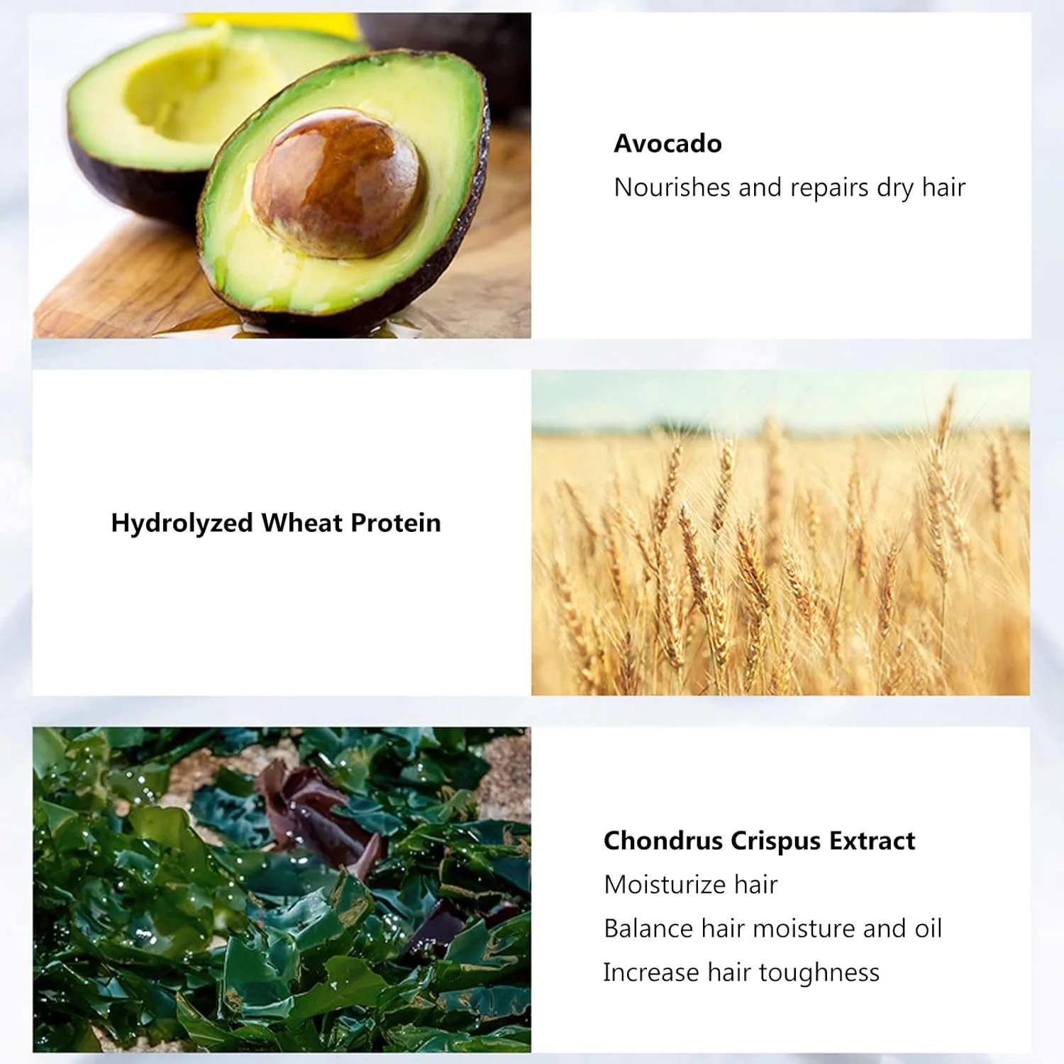 ماسک مو با عصاره گیاهی، 5 عدد 35 گرمی، درمان عمیق و نرم کننده مو، بدون نیاز به بخار، مناسب برای استفاده در خانه و سالن، مخصوص بانوان